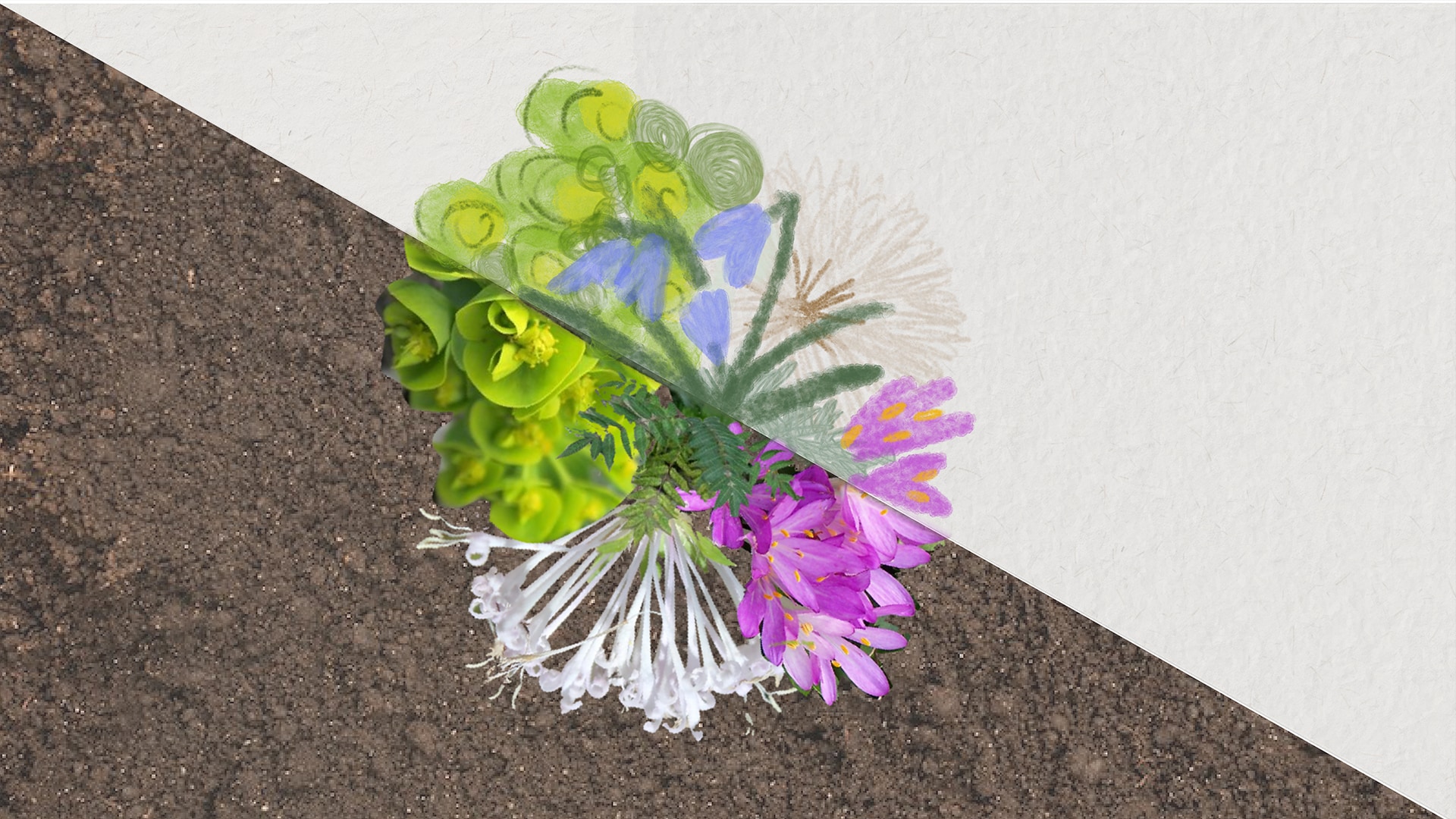 Yaz Tatili Atölyeleri  görsel 7