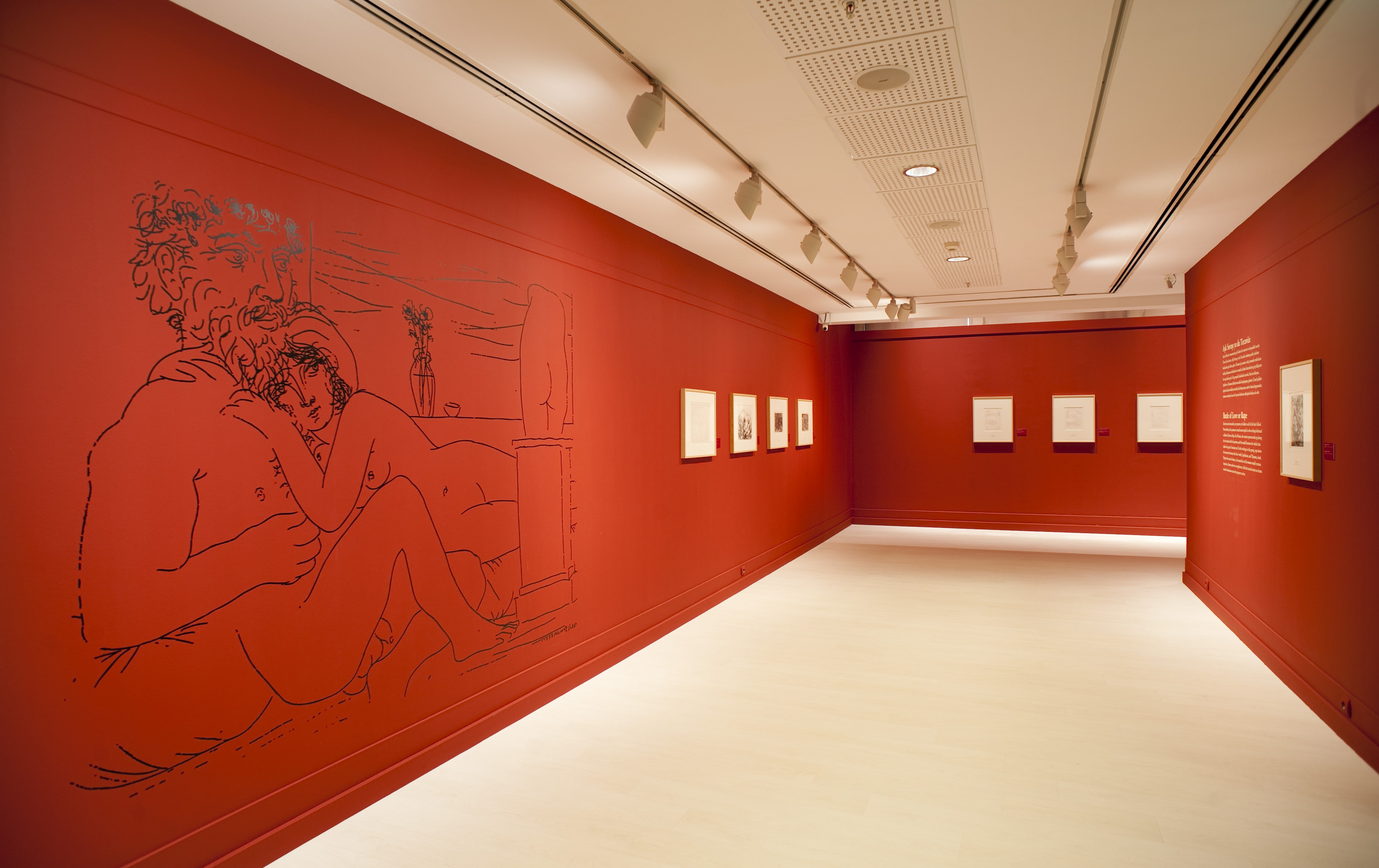 Picasso galeri 7