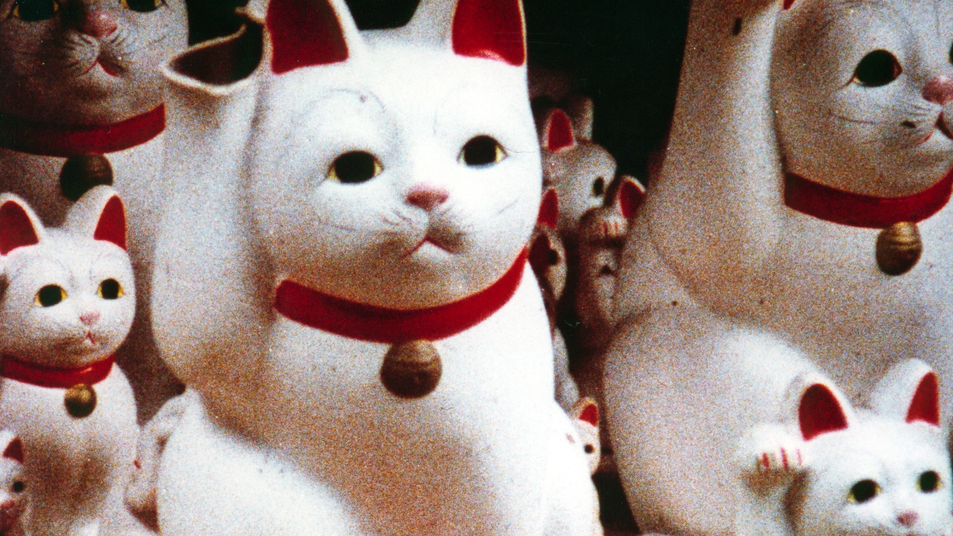 Güneşsiz görsel 2