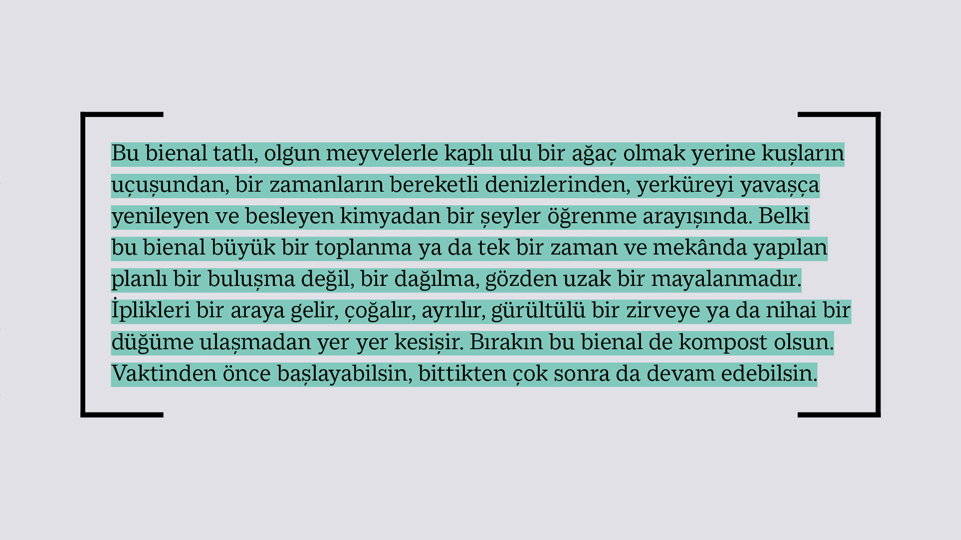 17. İstanbul Bienali görsel 0