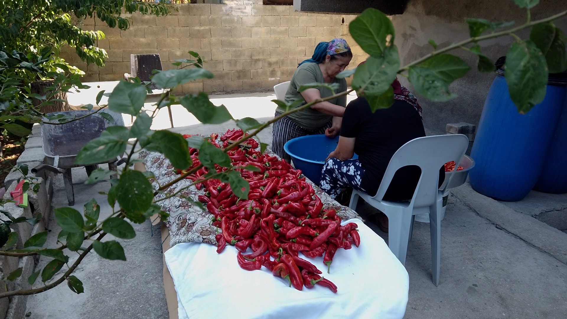 DOCUMENTARIST <br>18. İstanbul Belgesel Günleri17