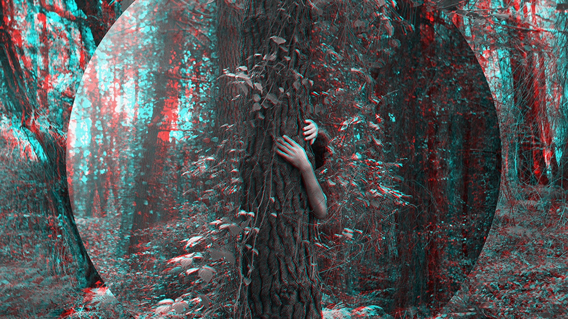 Stereoskopik Fotoğraf görsel 1