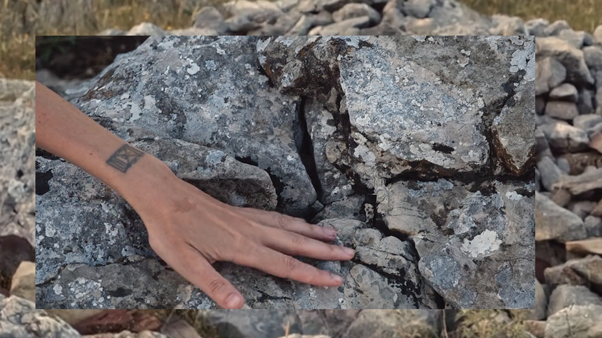 DOCUMENTARIST 17. İstanbul Belgesel Günleri10