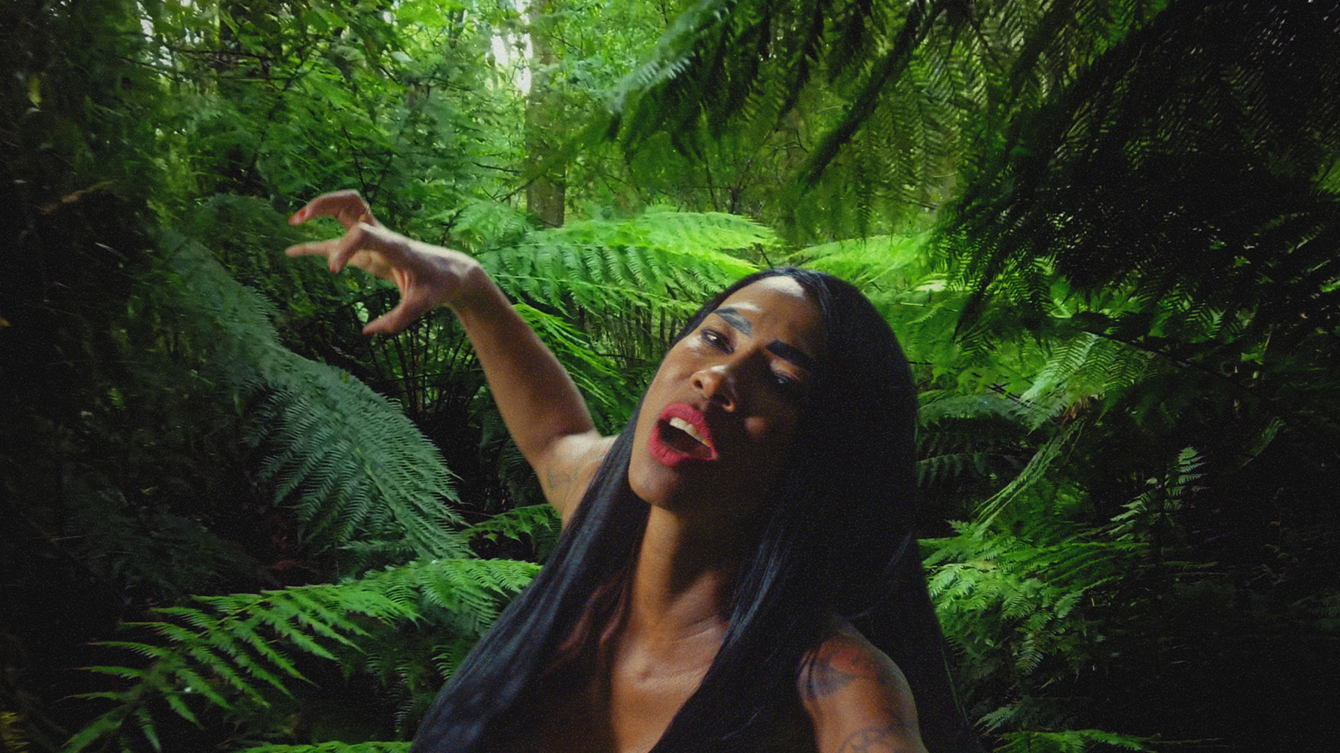 Üç Üzgün Kaplan görsel 4