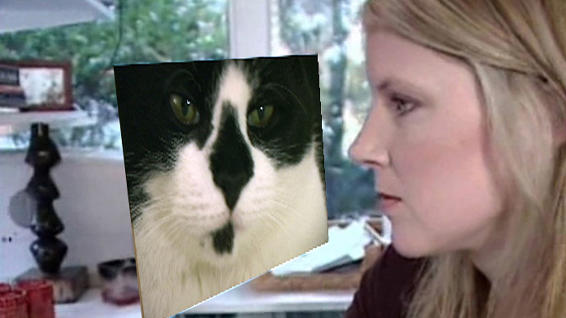 Mükemmel Yabancılar İçin Sevgililer Günü görsel 0