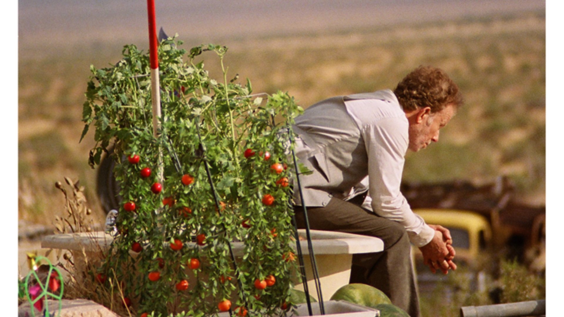 Bilek Kesenler: Bir Aşk Hikayesi görsel 5