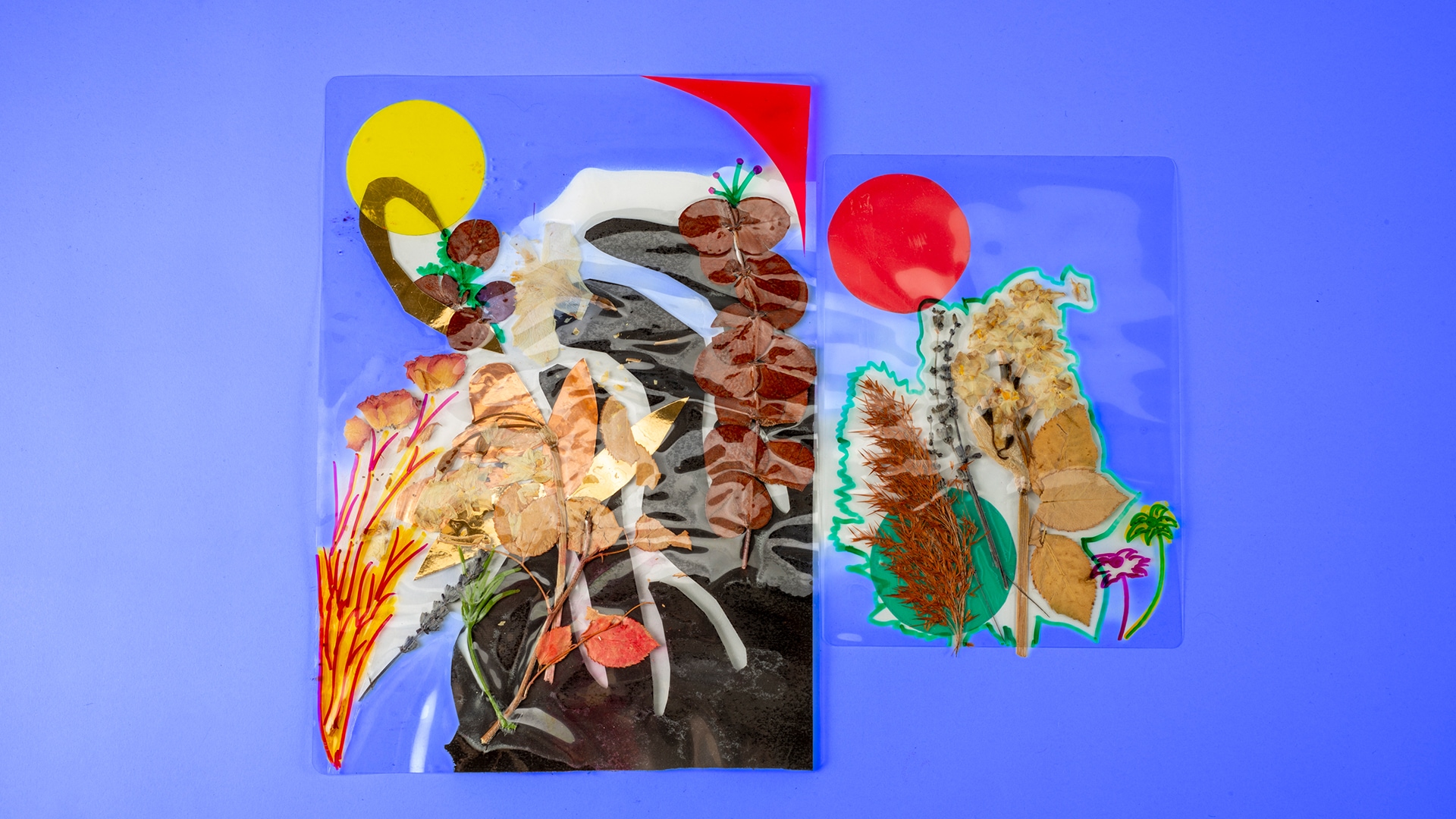 Zamansız Çiçekler görsel 0