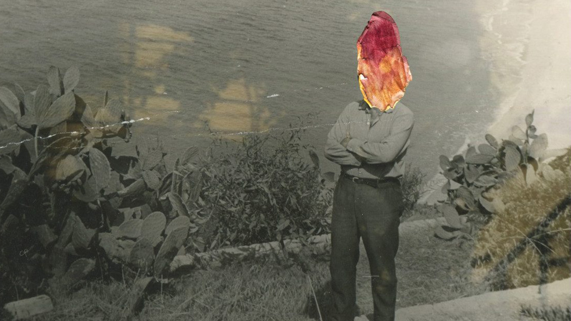 Zarafet ve Şiddet Arasında görsel 1