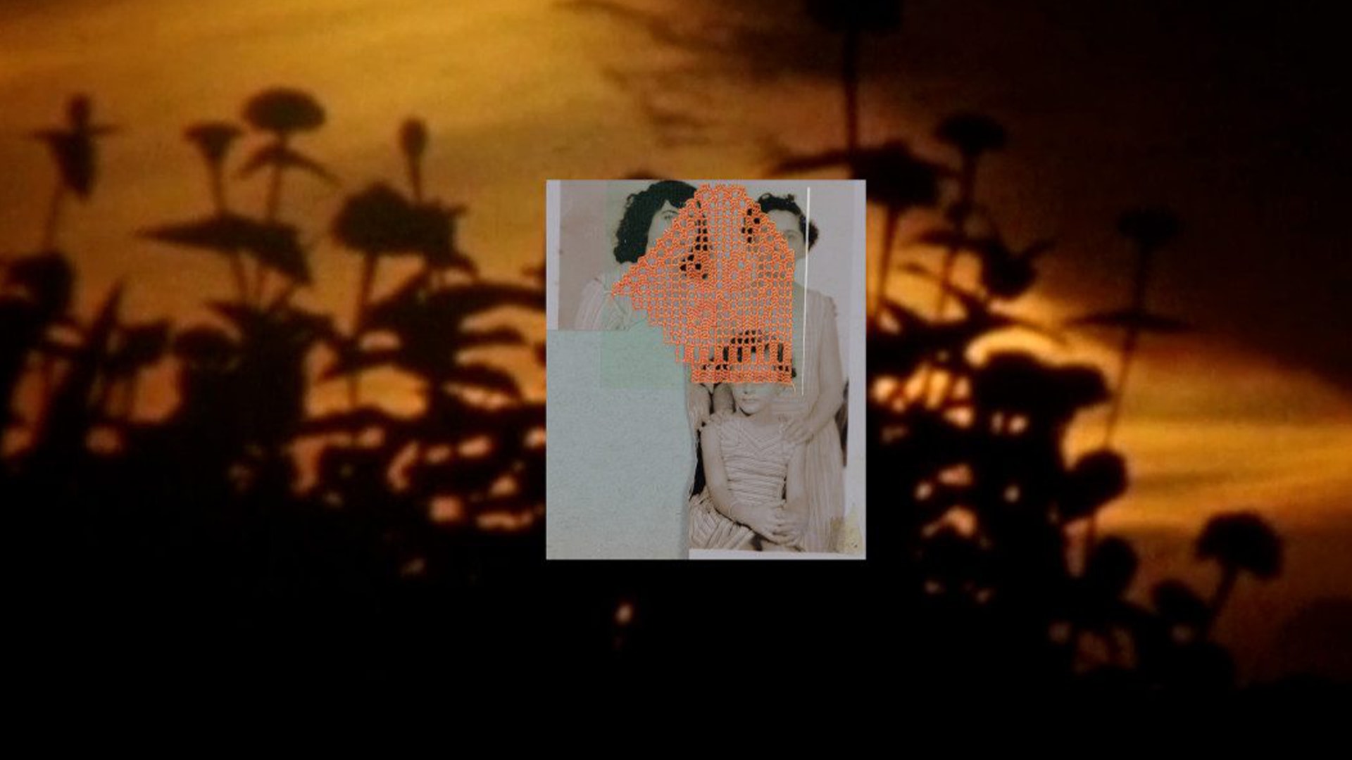 Zarafet ve Şiddet Arasında görsel 2