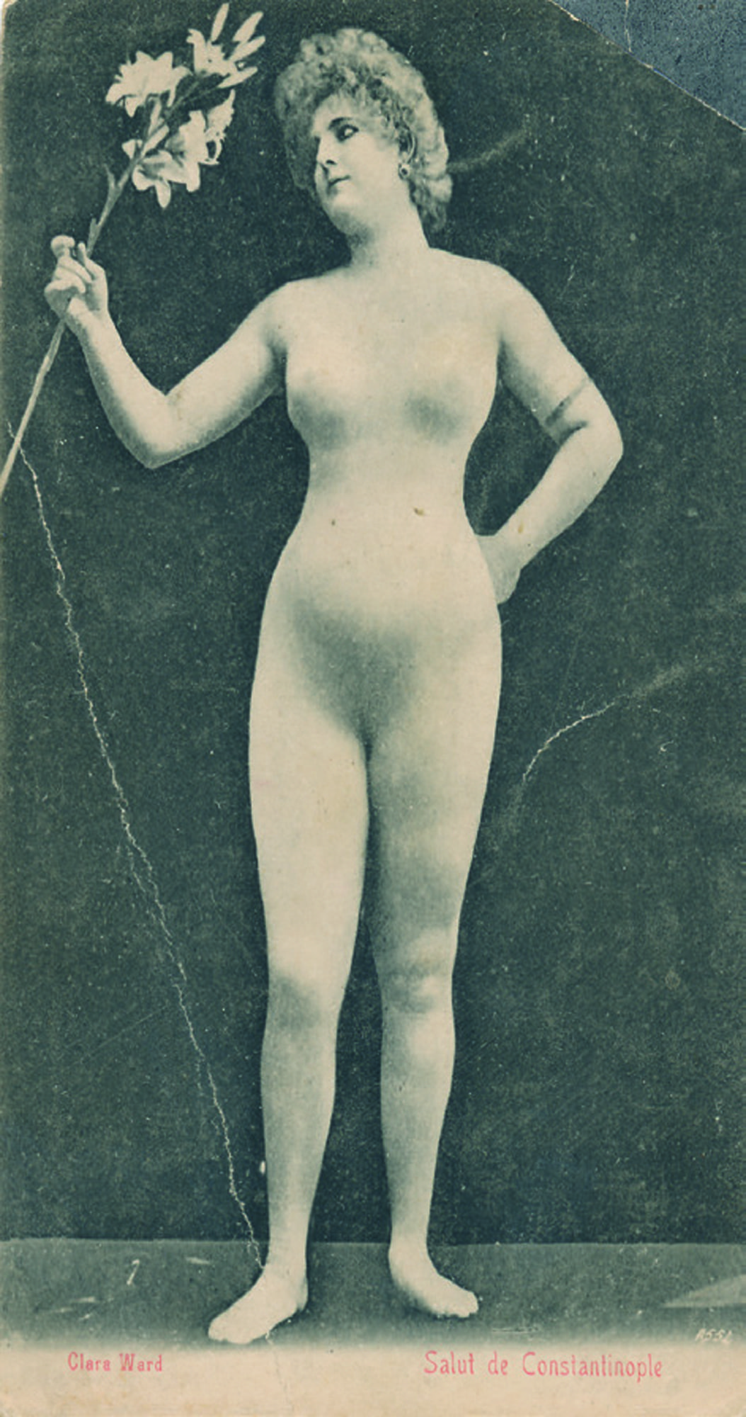 &Uuml;ryan, &Ccedil;ıplak, N&uuml;,T&uuml;rk Resminde Bir Modernleşme &Ouml;yk&uuml;s&uuml;