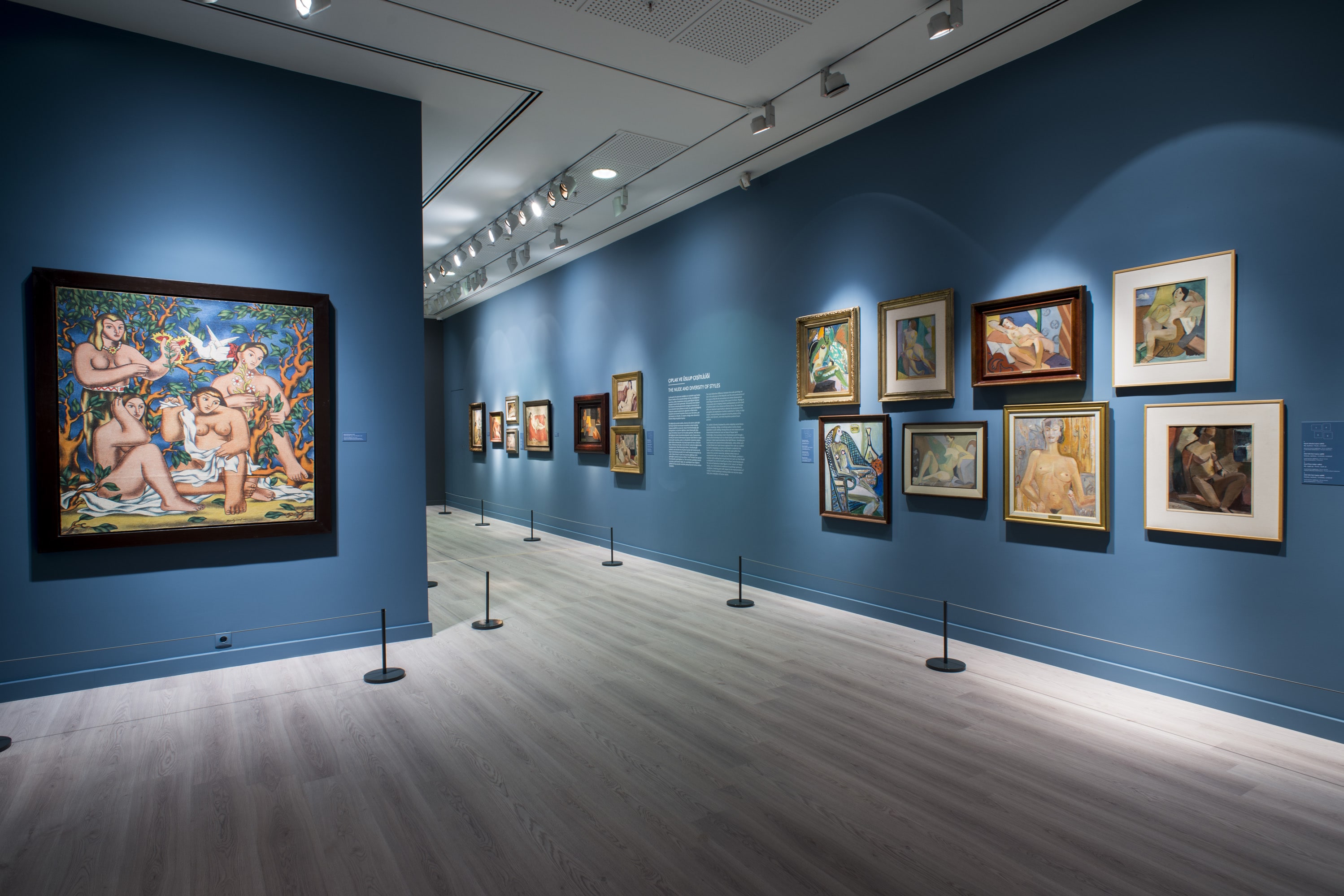 &Uuml;ryan&Ccedil;ıplakN&uuml;