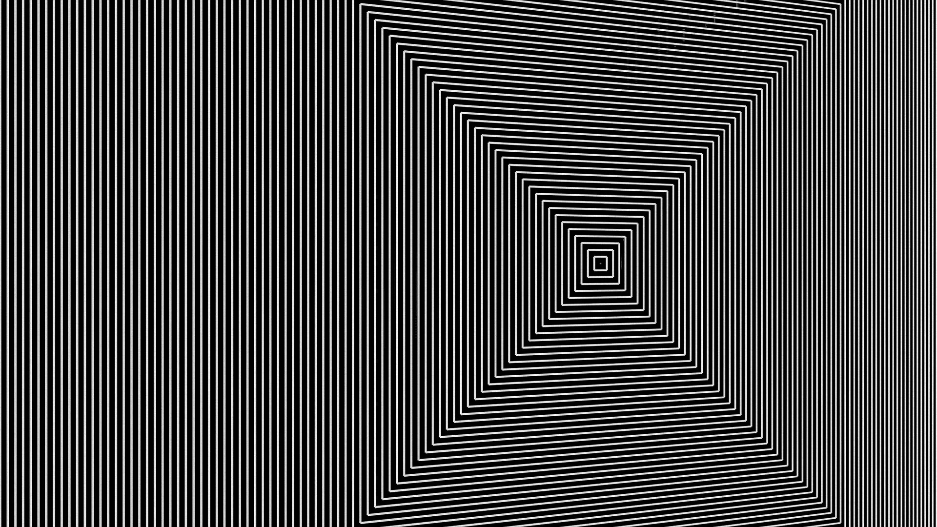 Vera Molnár’ın İzinde