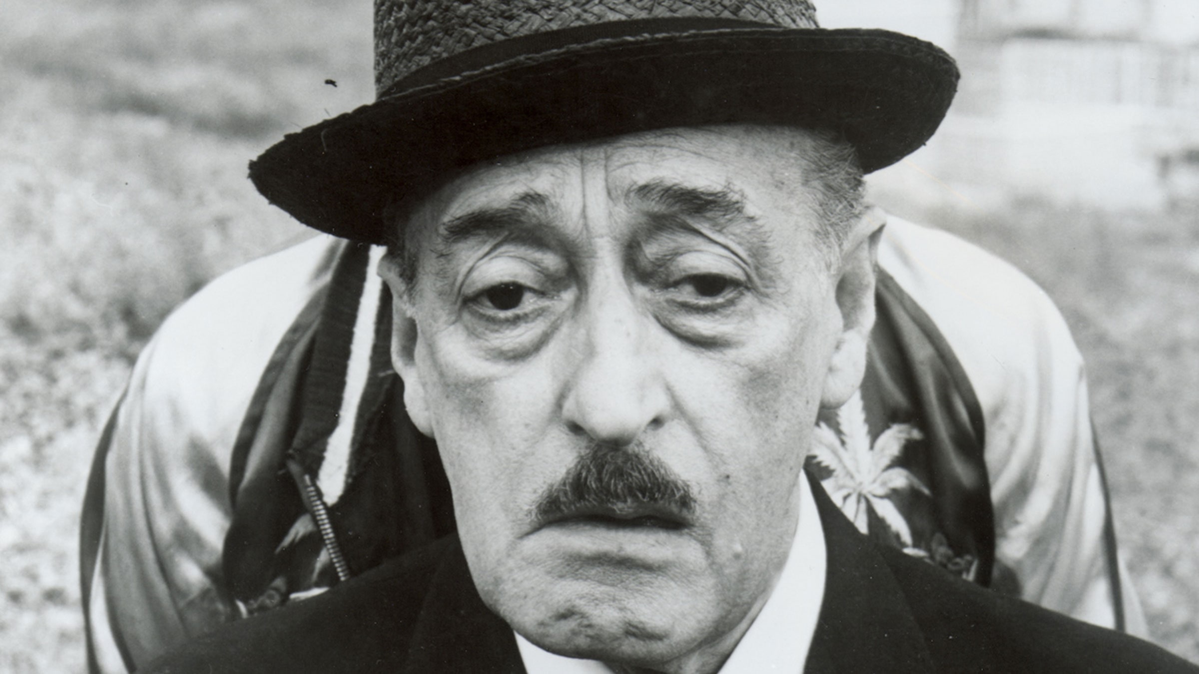 Şahinler ve Serçeler