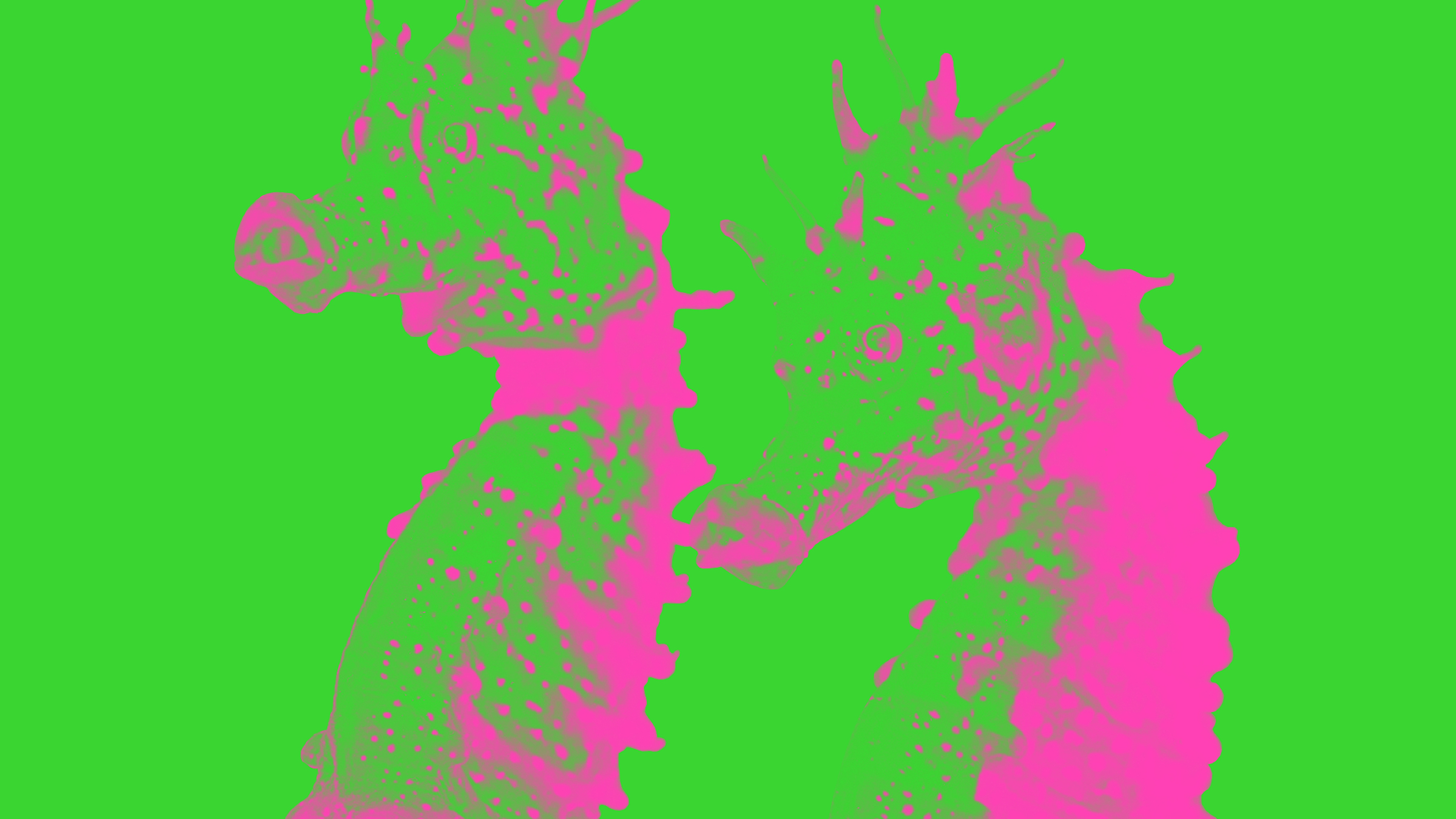 Ansızın Bir Yabancı Belirir