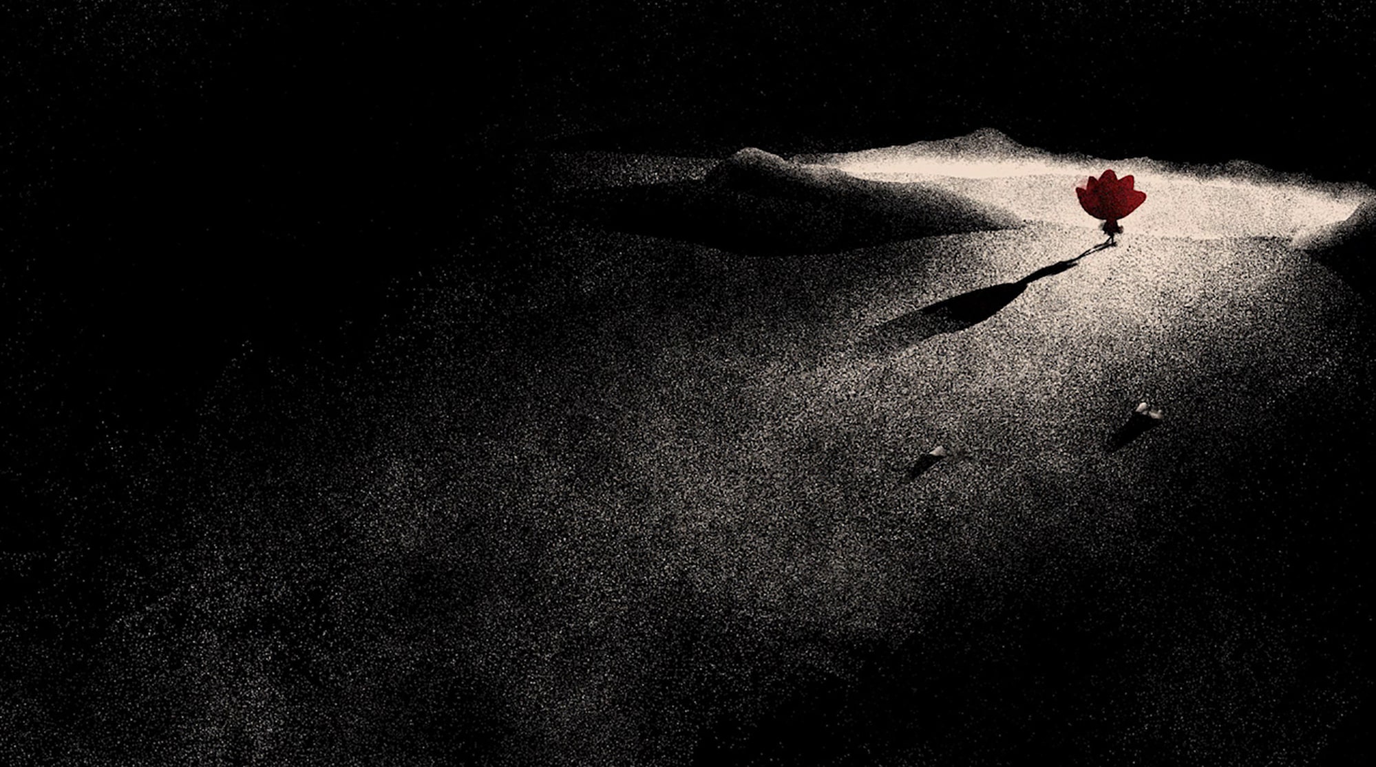 Carlotta'nın Yüzü