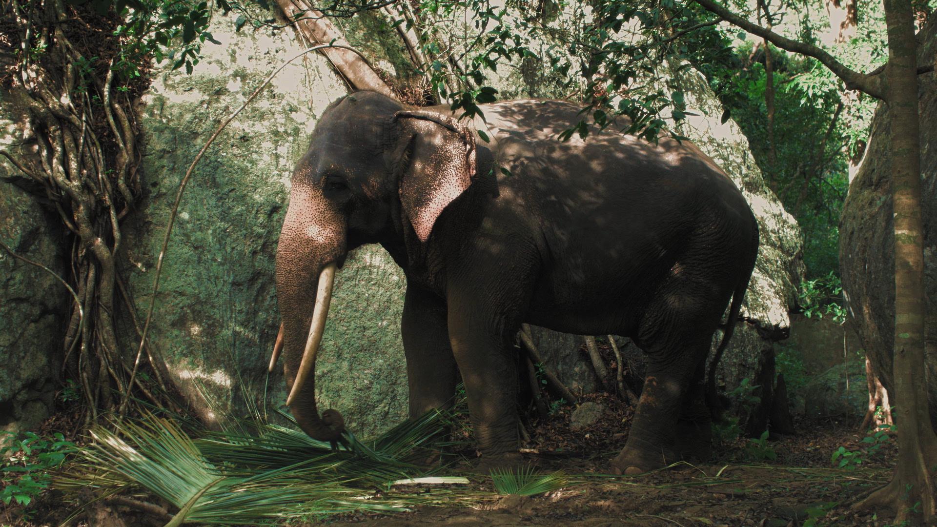 17. İstanbul Bienali