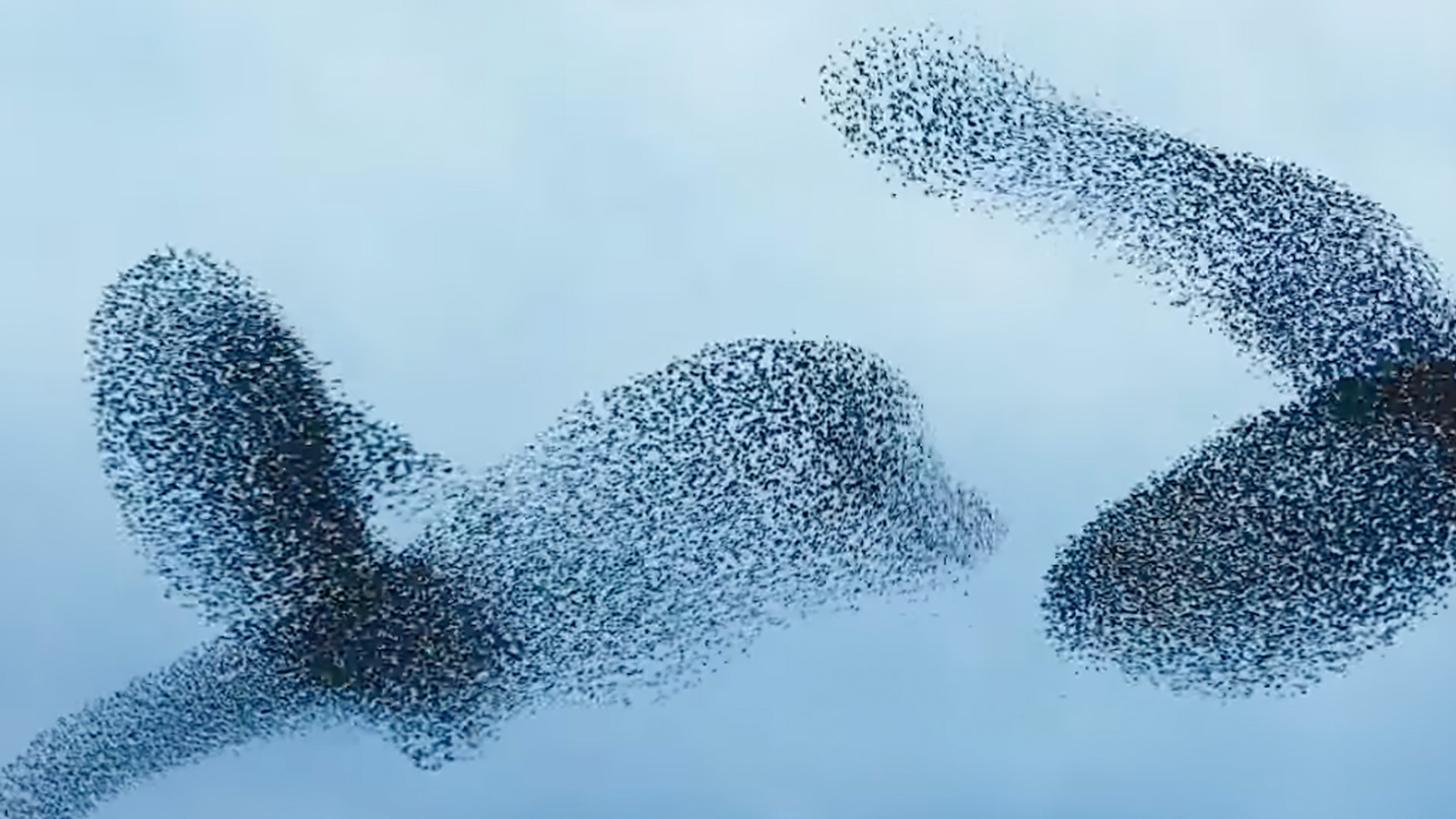 Etki Ağları: Karmaşık Bir Dünyada Değişim Yaratmak