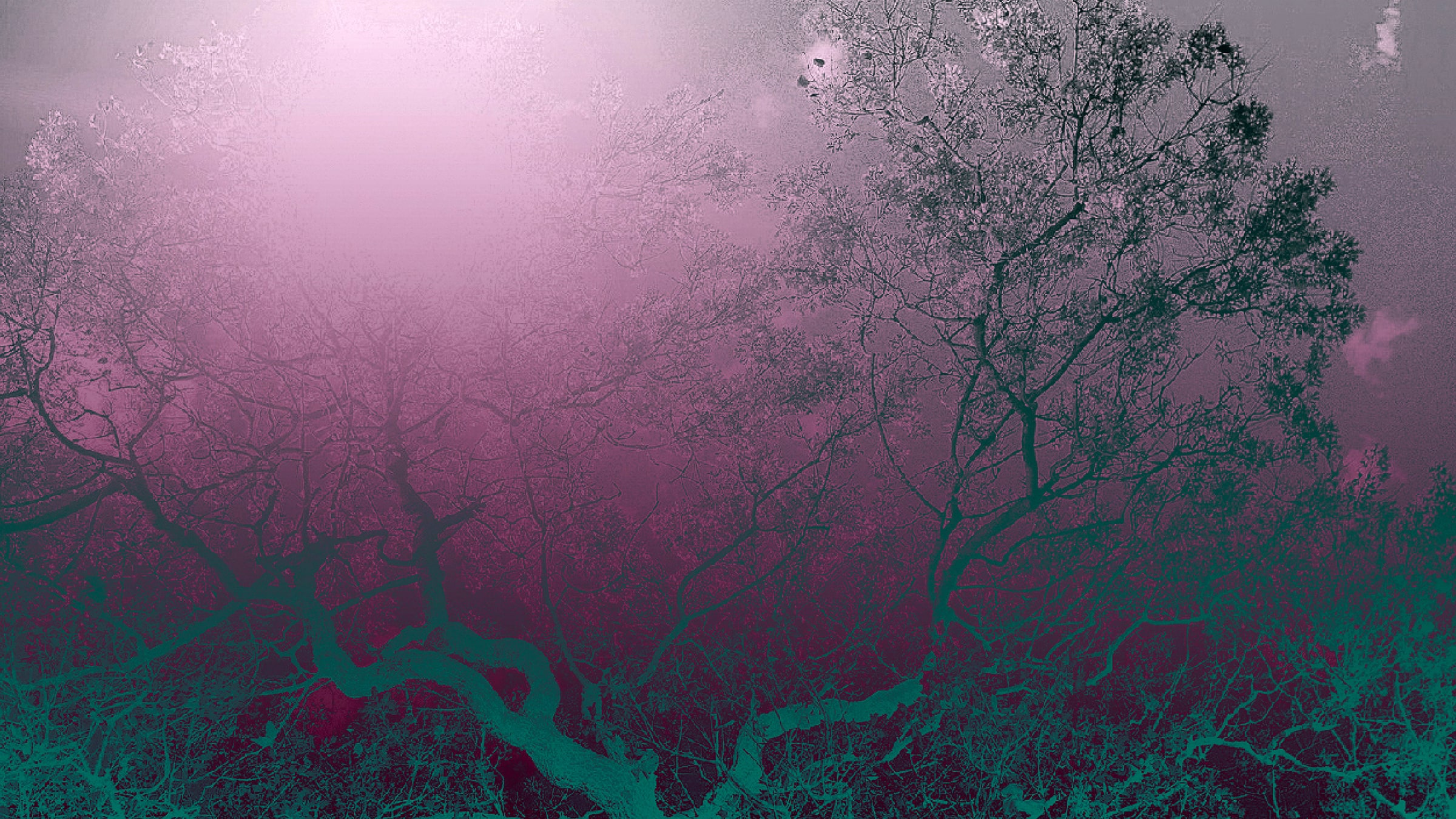 Gökyüzü Işıldıyor <br/>Çehov’a Övgü