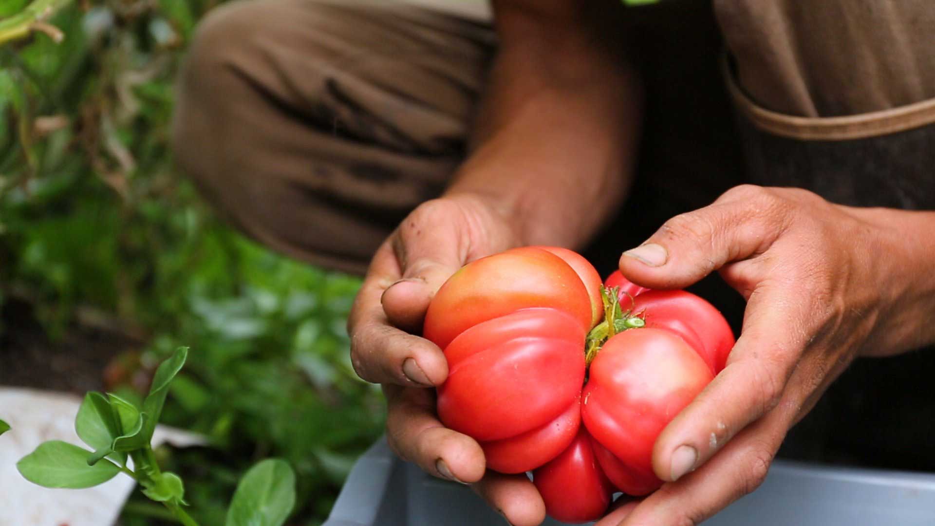 Birlikte Büyüyoruz