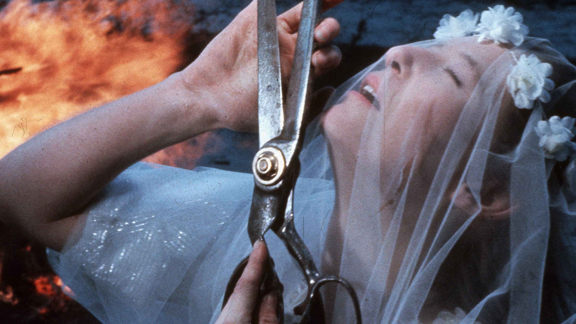 37. İstanbul Film Festivali