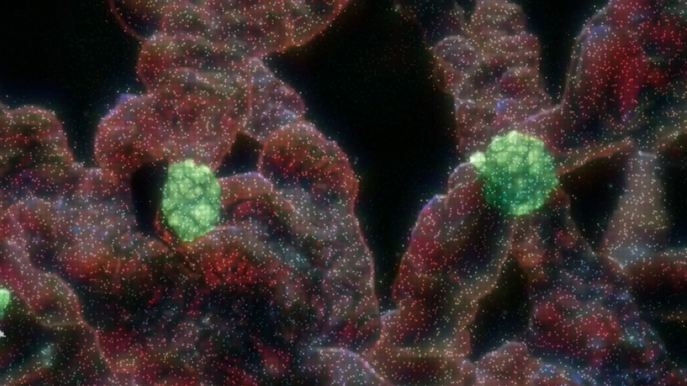 KAPS Adası’nda Parti