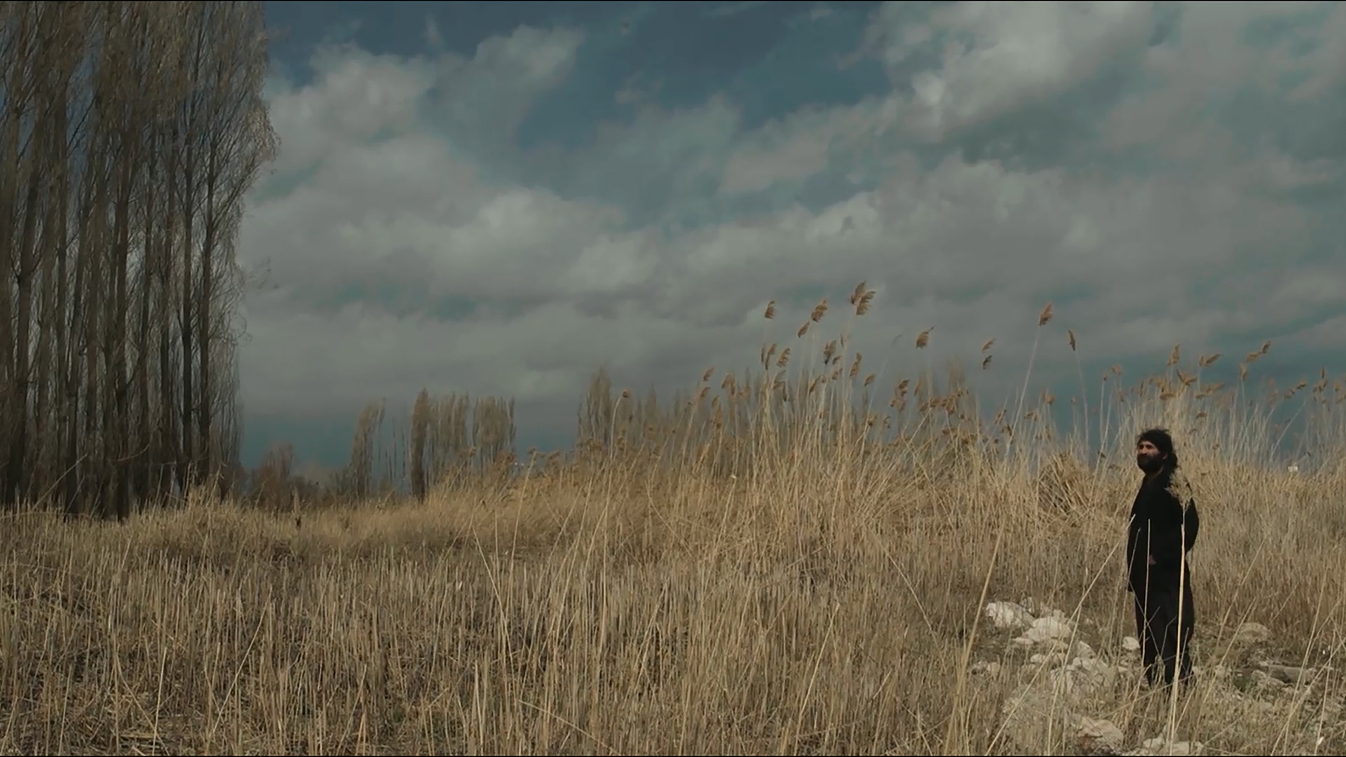 Kavak Ağacının Gölgesinde