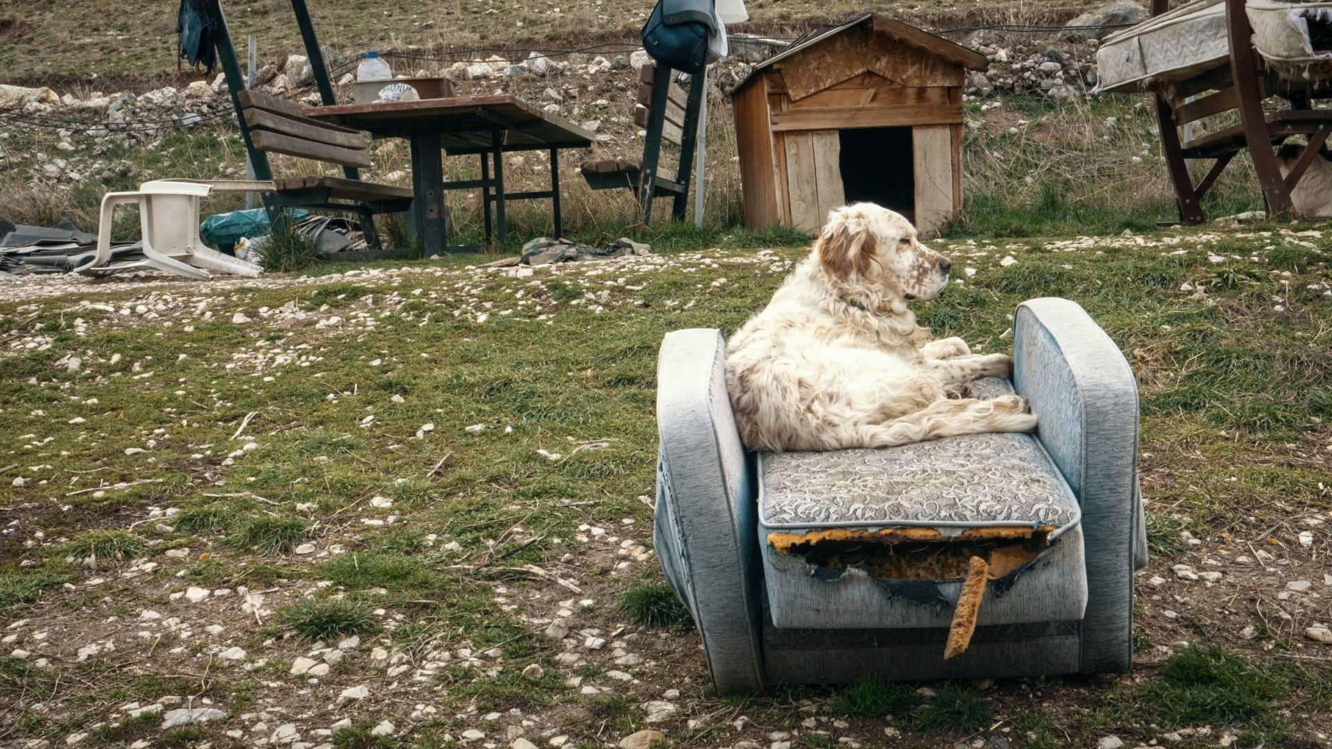 38. İstanbul Film Festivali<br>Ulusal Belgesel Yarışması