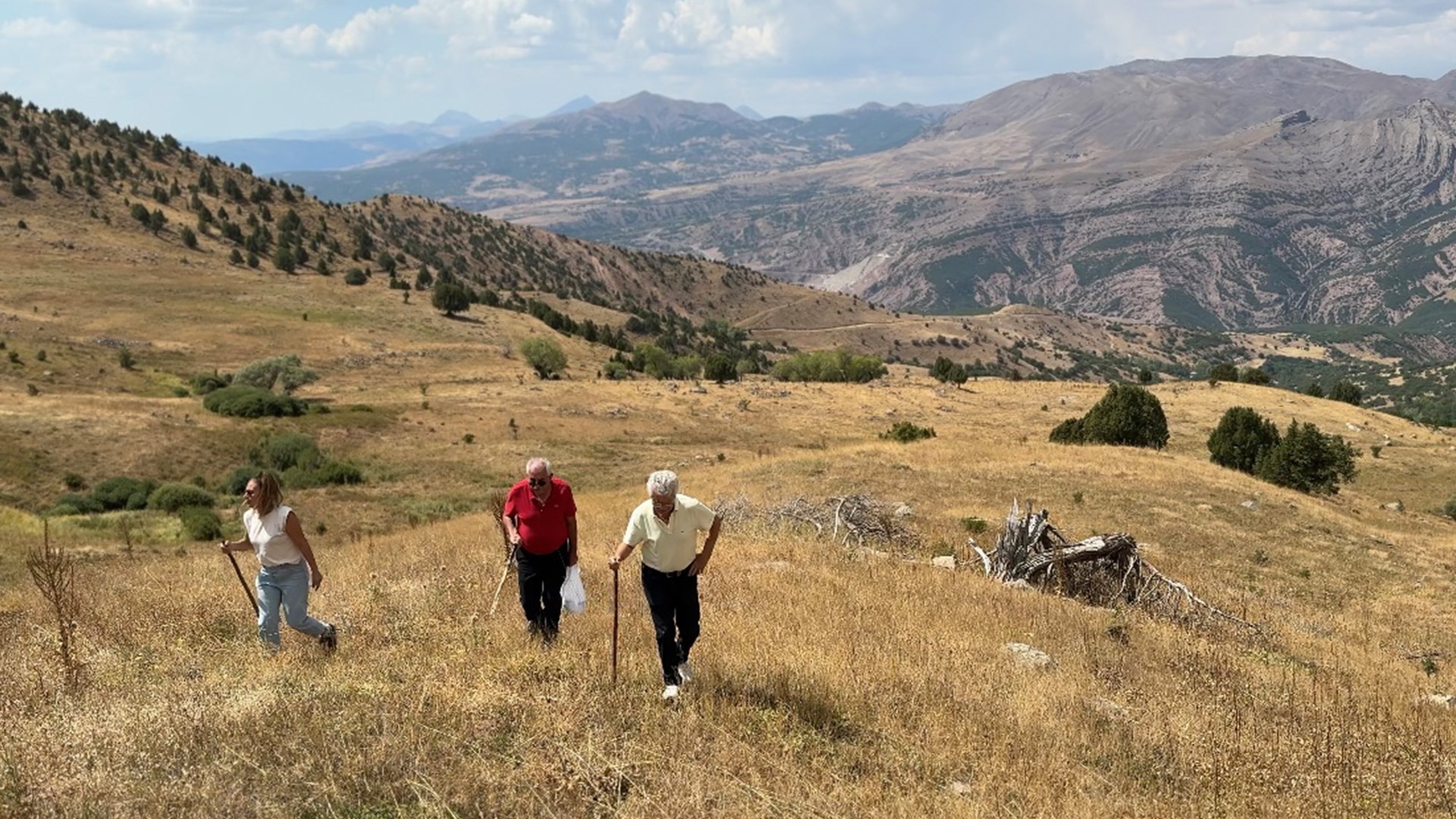 Mardiros'dan Bu Yana