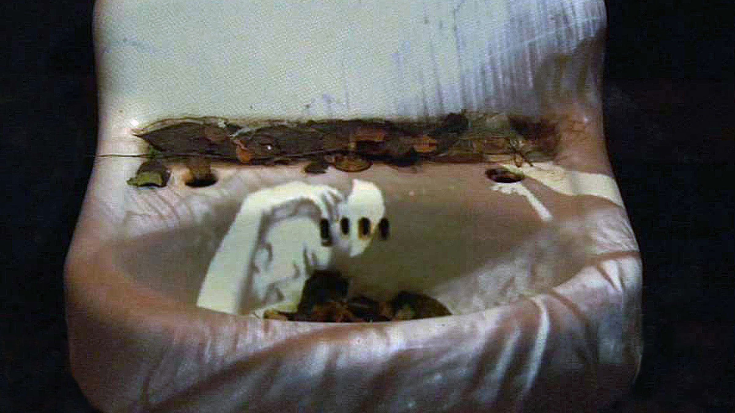 Maya Deren’in Lavabosu