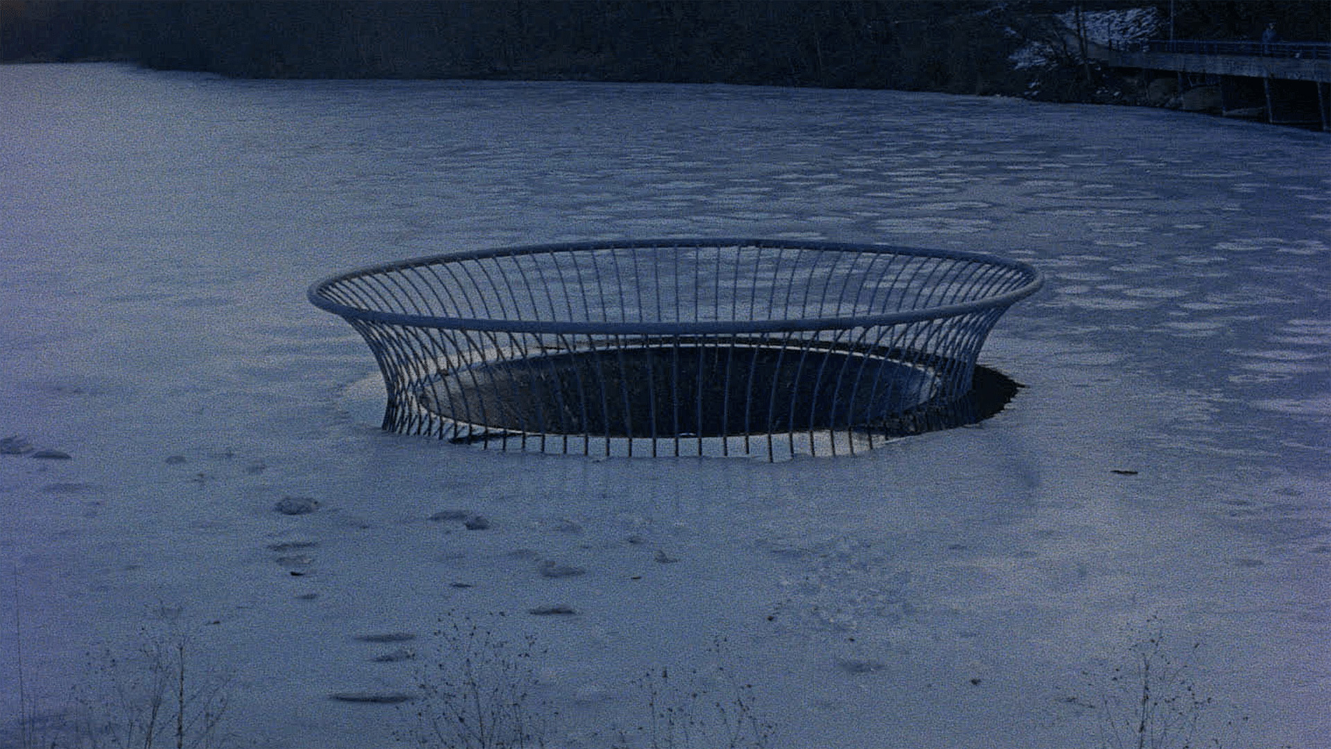 Yarışma: The Personal Life of a Hole