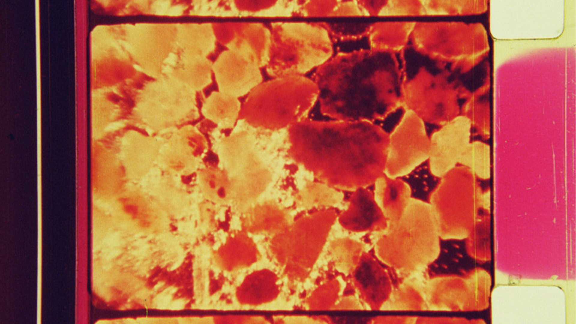 Şiirsel Manipülasyonlar