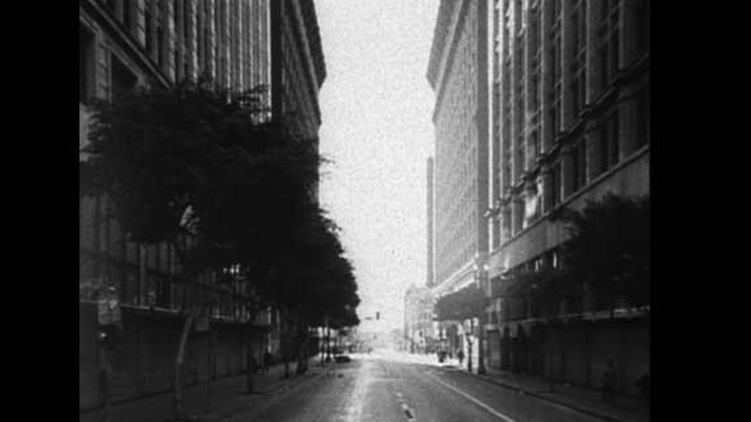 Toplumsal Görüşler