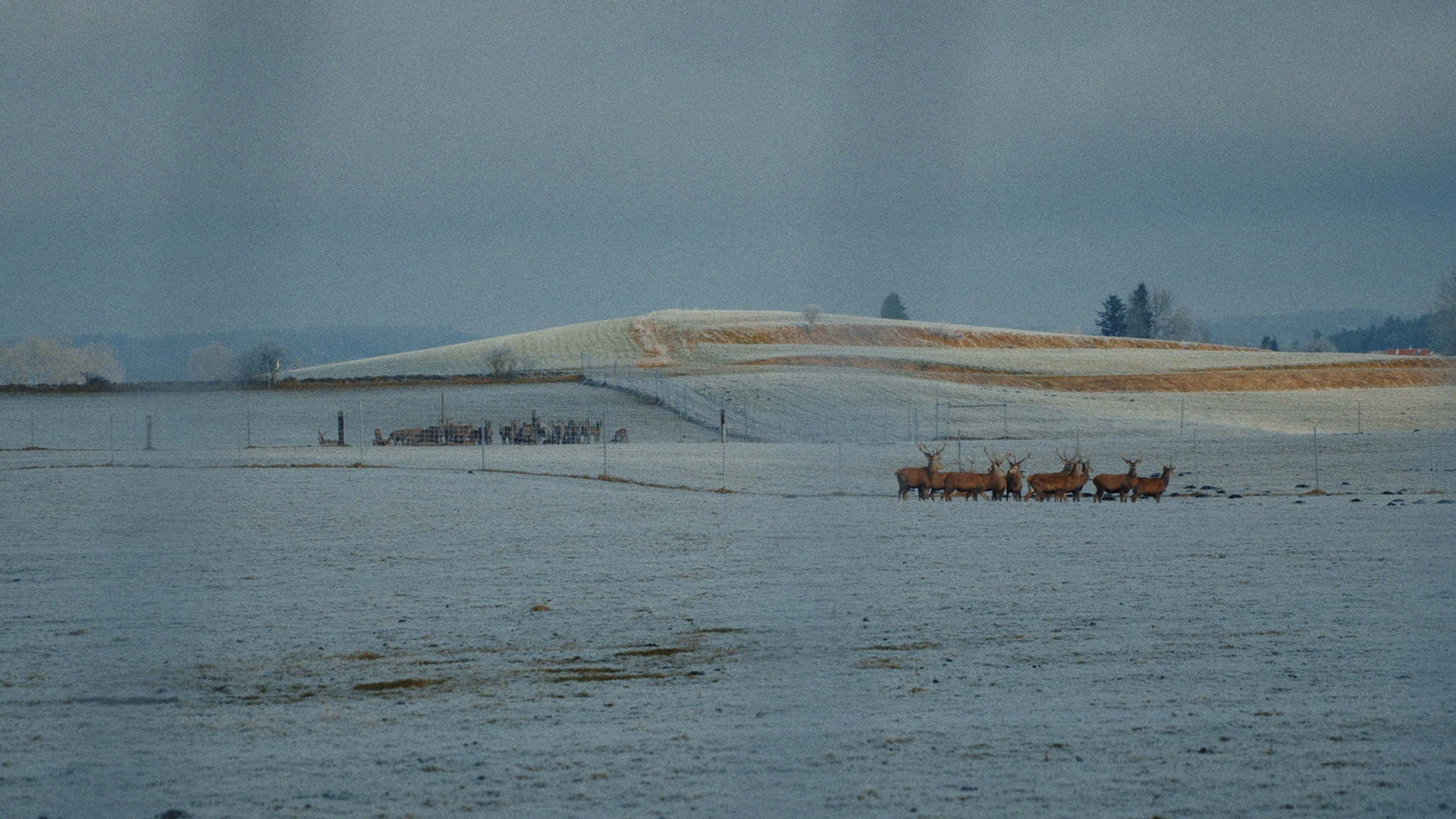 Sürgün Asla Bitmez