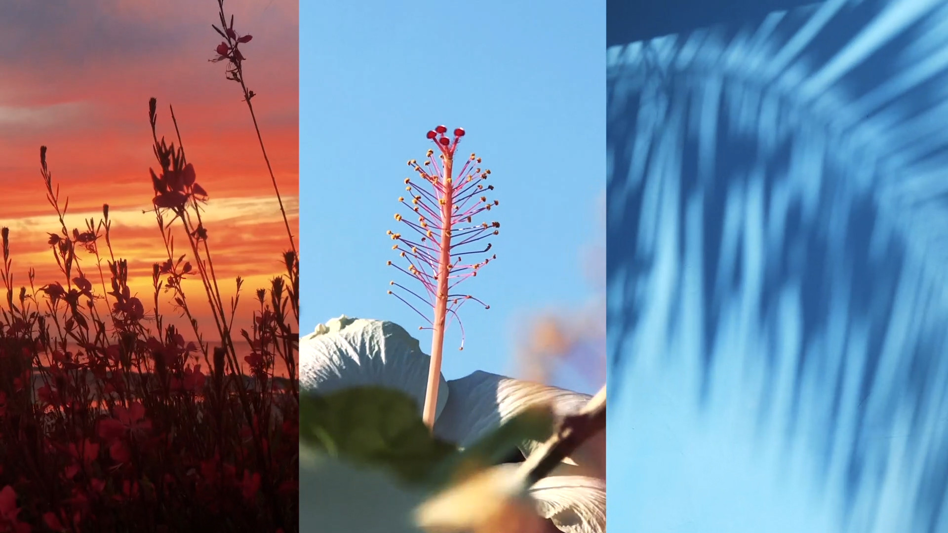 Yarışma: First Experiments