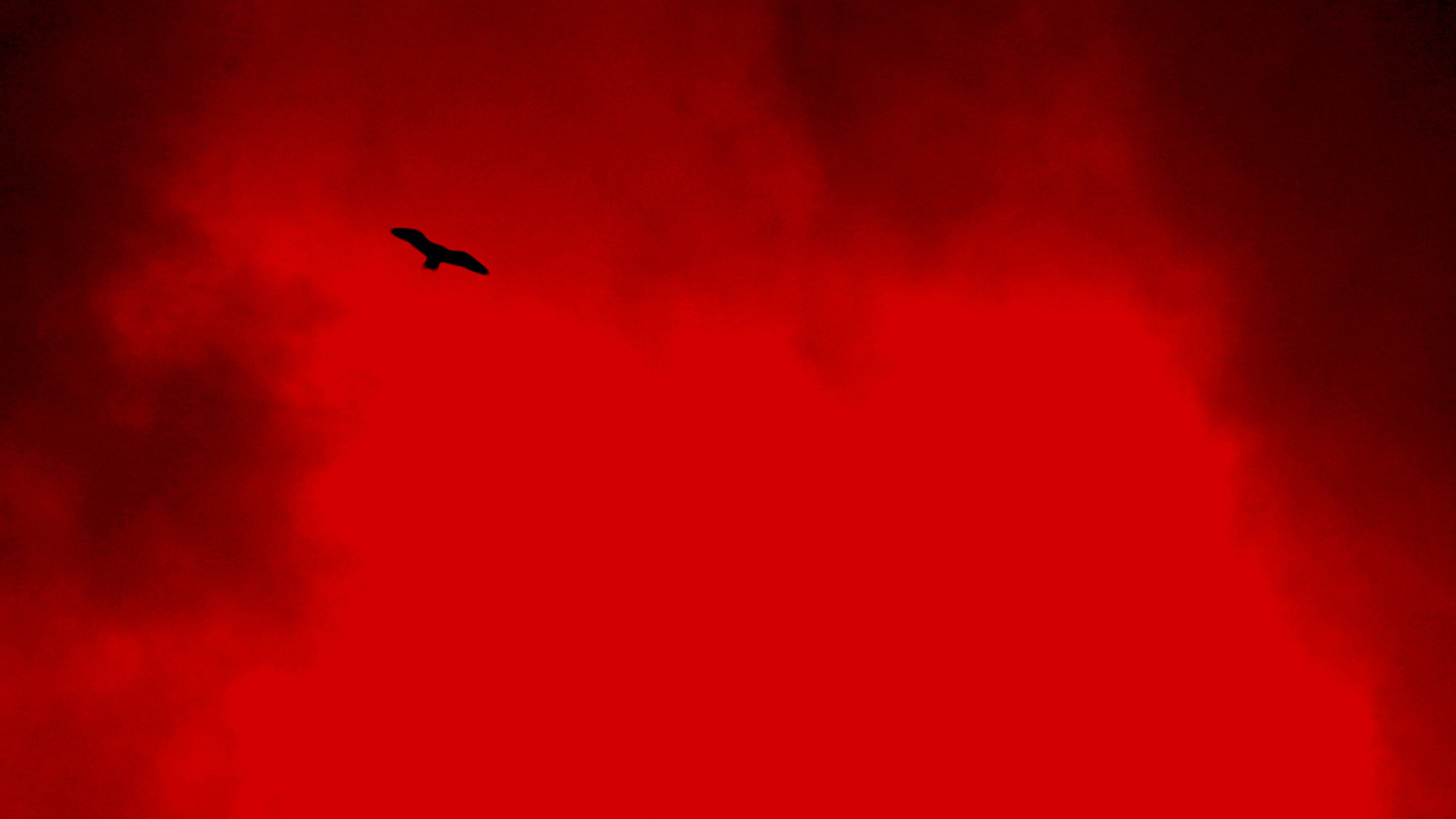 Yarışma: Ethnogeographic