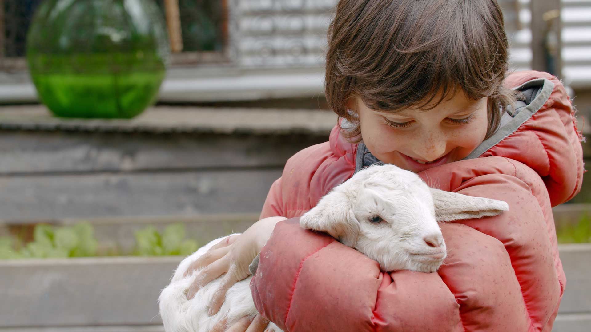 Ormanı Onaran Keçiler