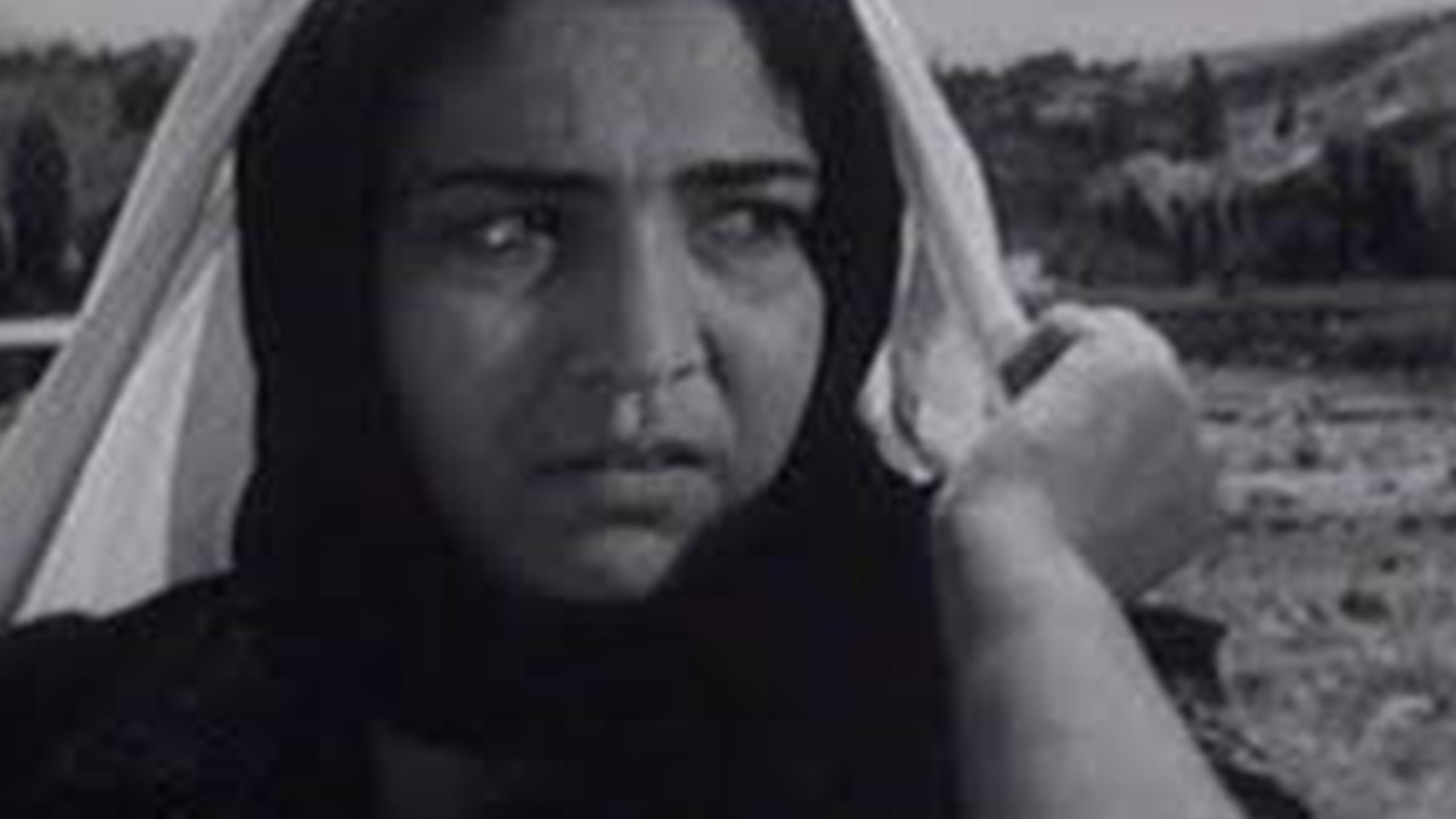 Beyaz, Beyaz Leylekler