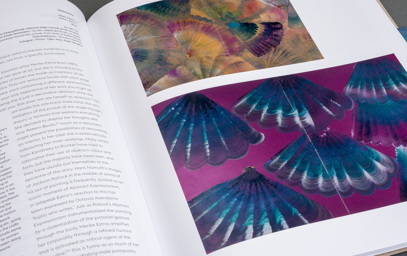 Çiftdüşün <br>Çiftgörü