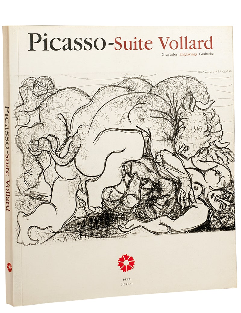 Picasso 