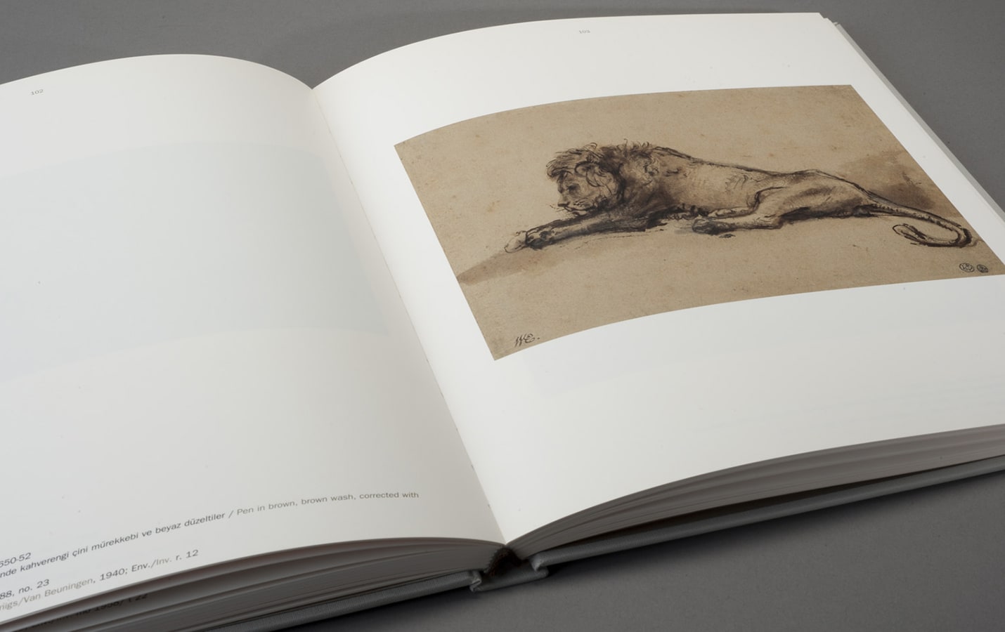 Rembrandt ve Çevresi / DESENLER