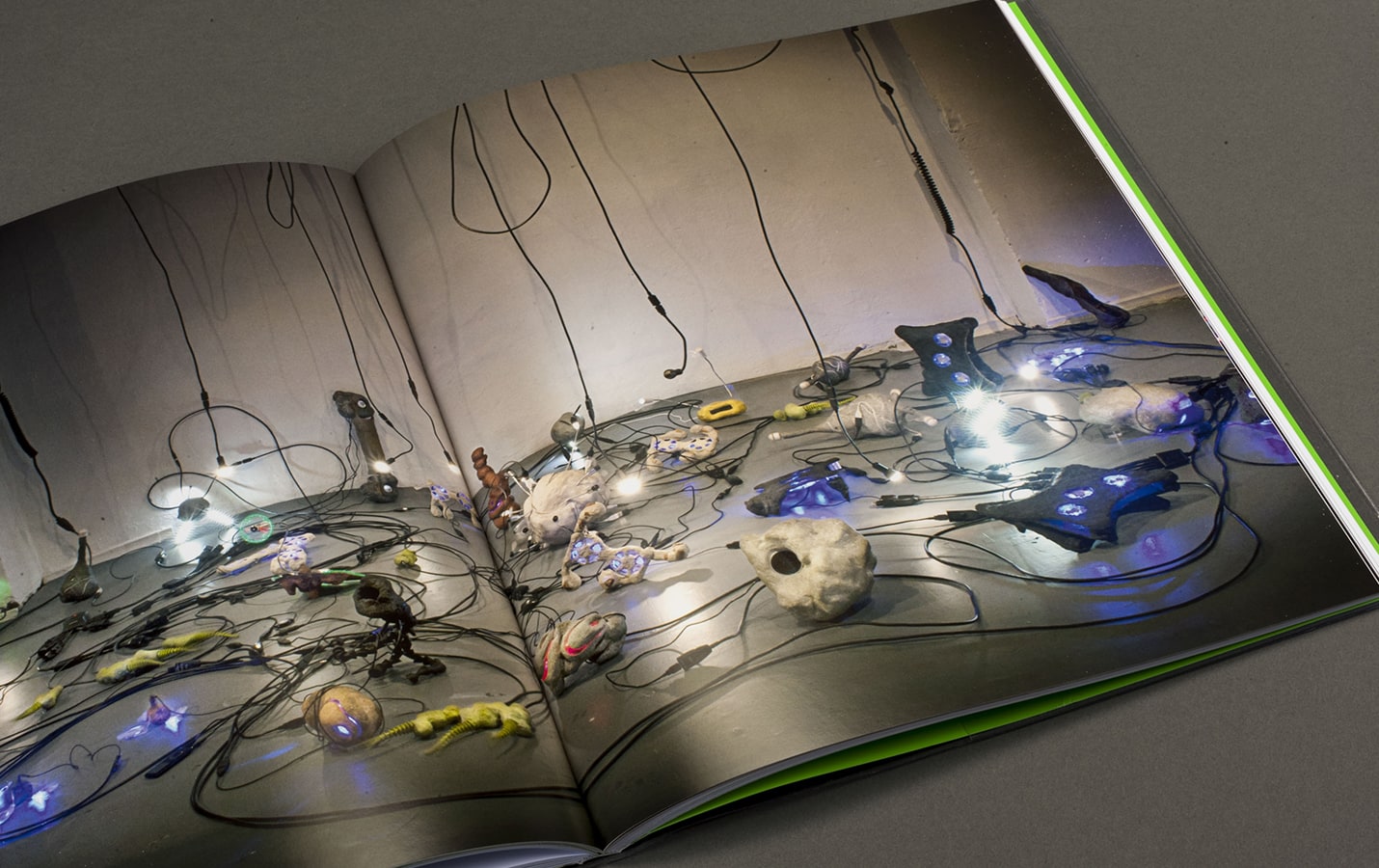 Katherine Behar: Veri Girişi