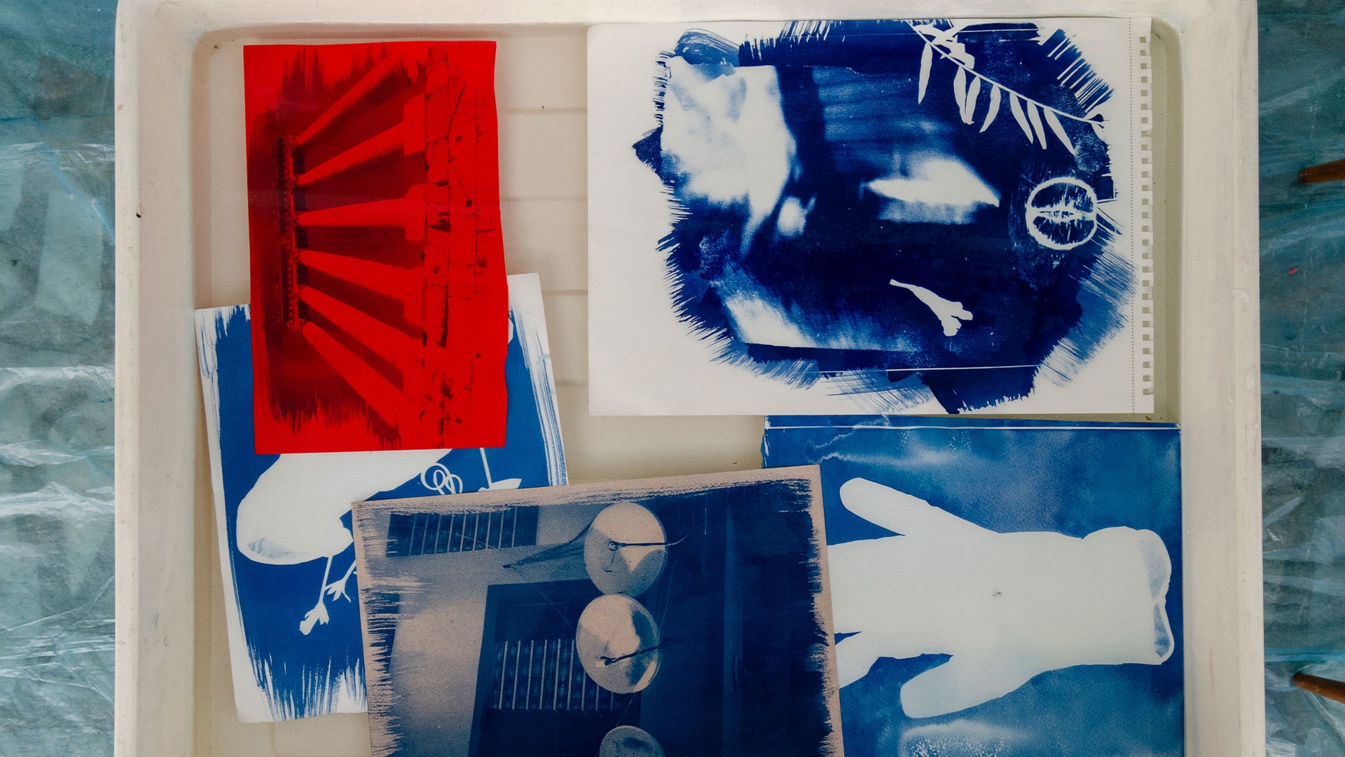 Cyanotype Baskı