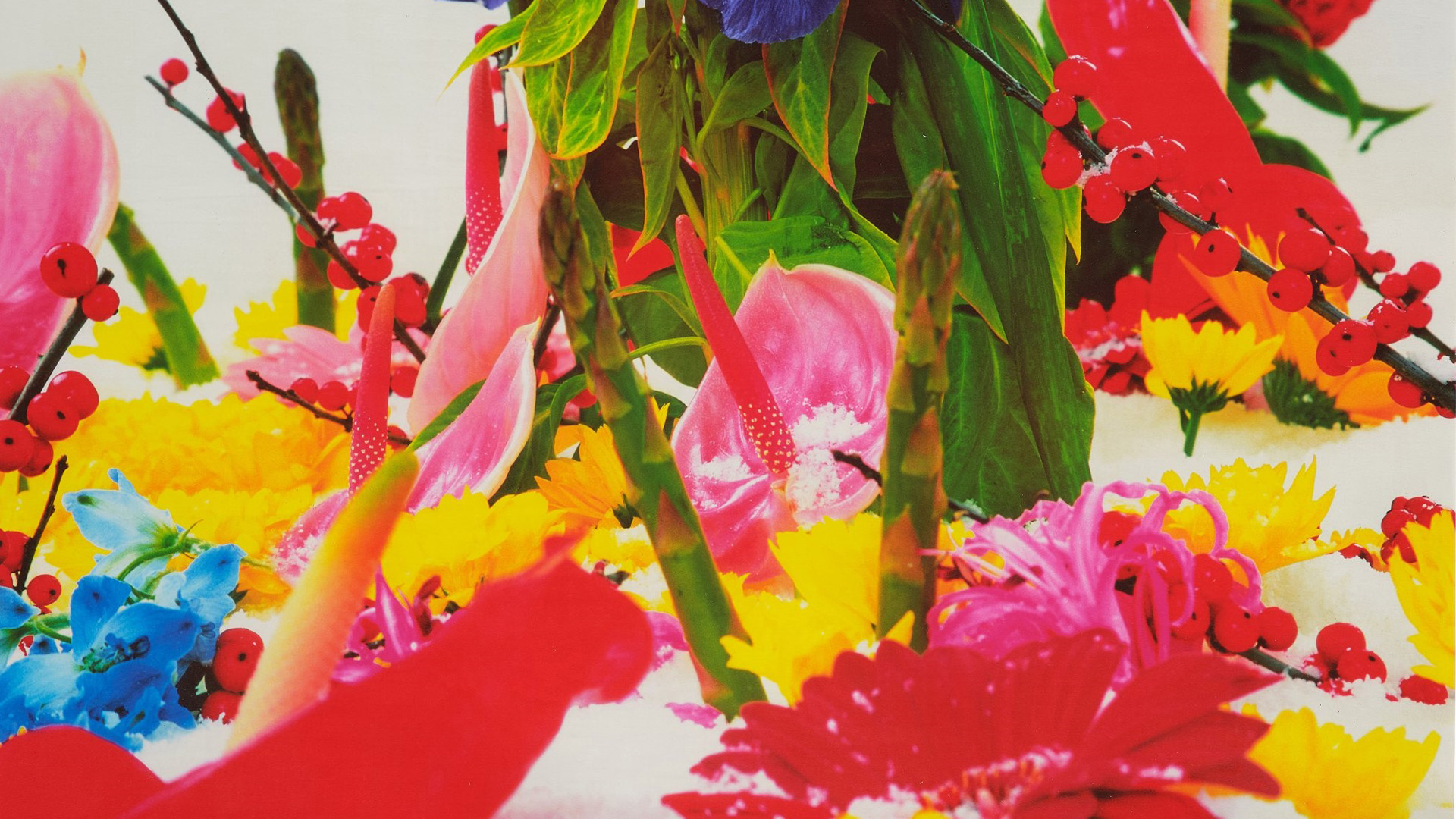 Ortak Duygular Çevrimiçi Sergi Turu 