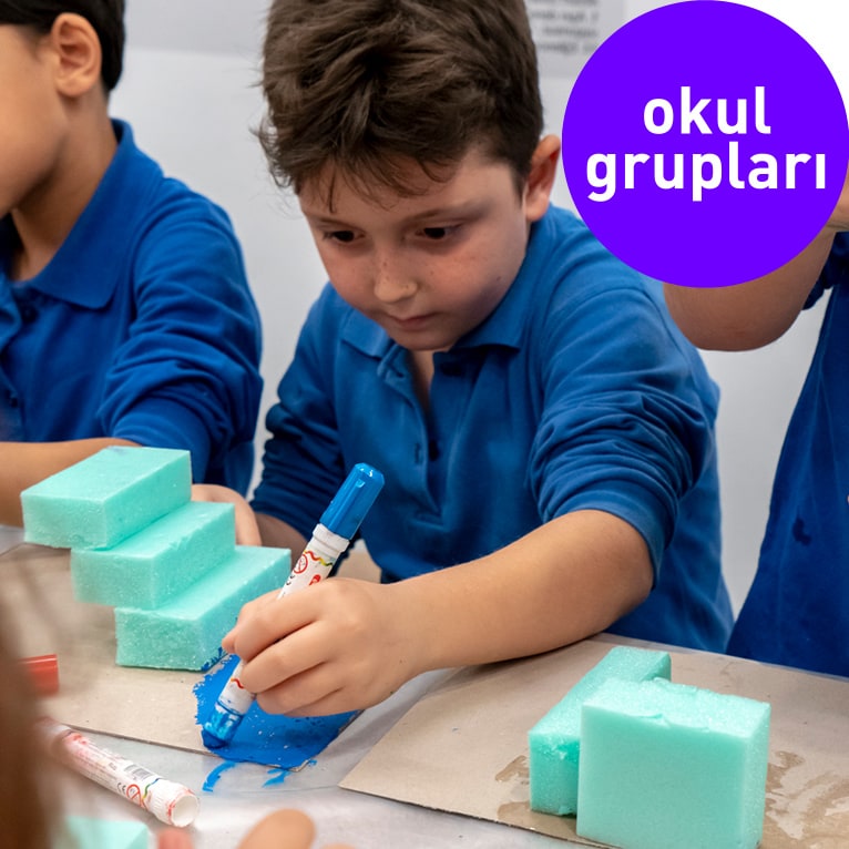 Okul Grupları