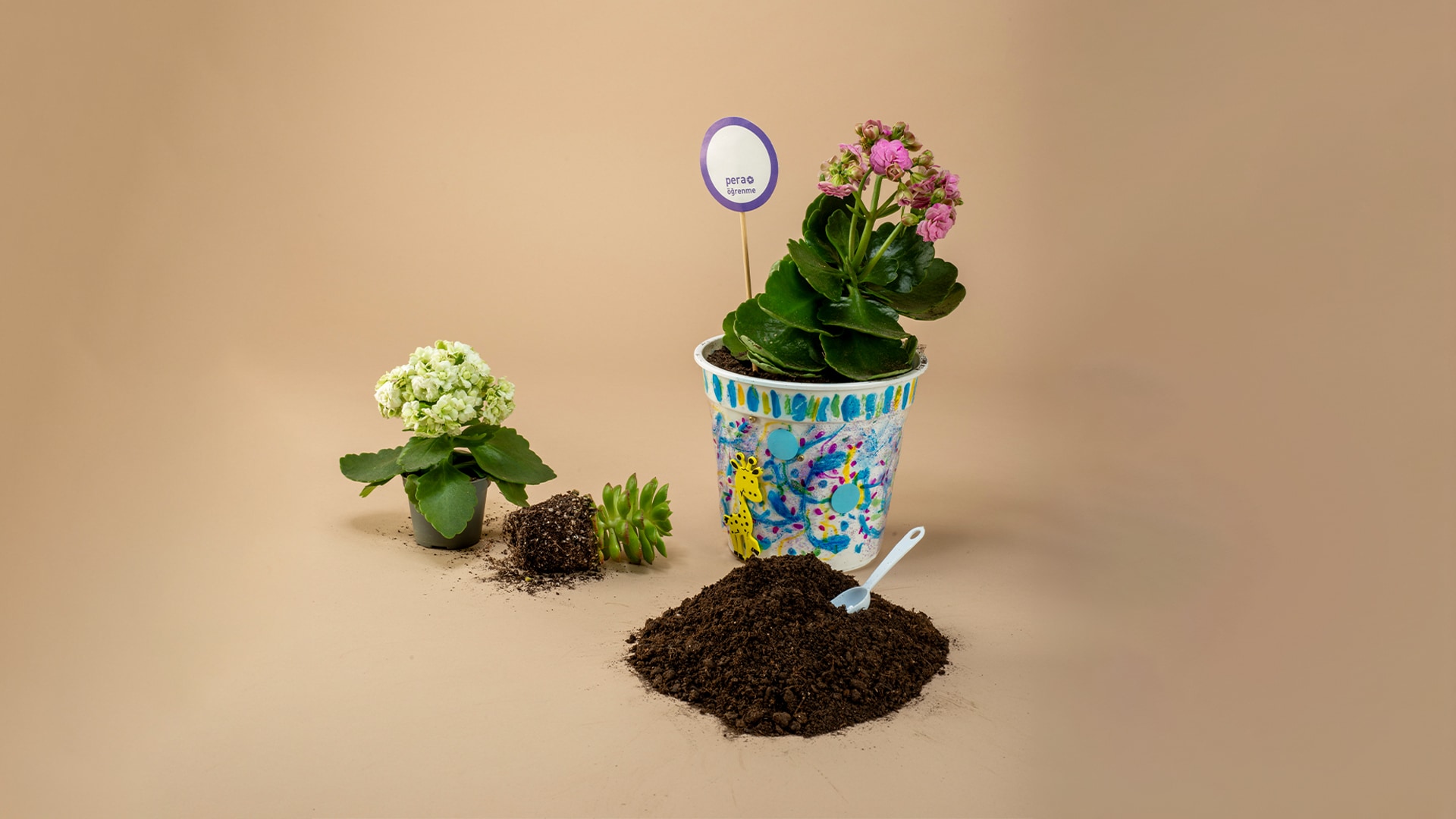 PERA Müzesi Basın Bültenleri