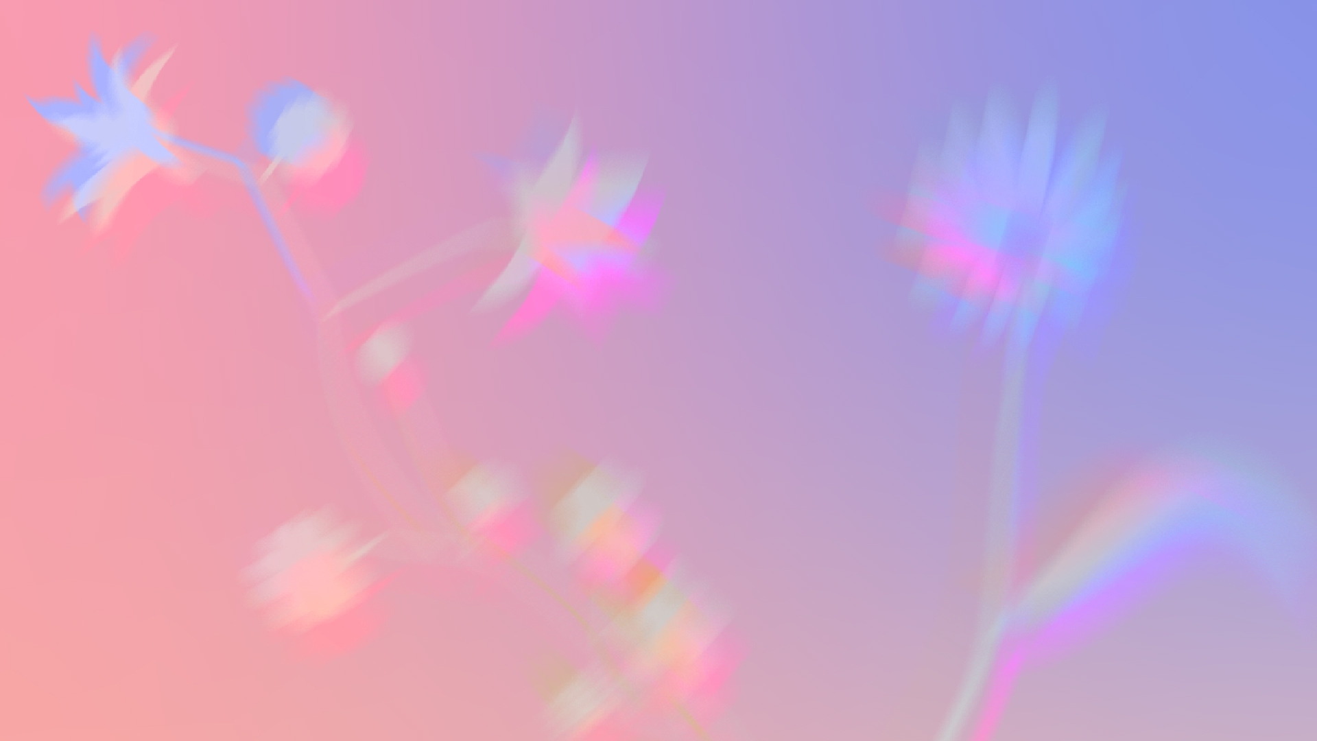 PERA Müzesi Basın Bültenleri