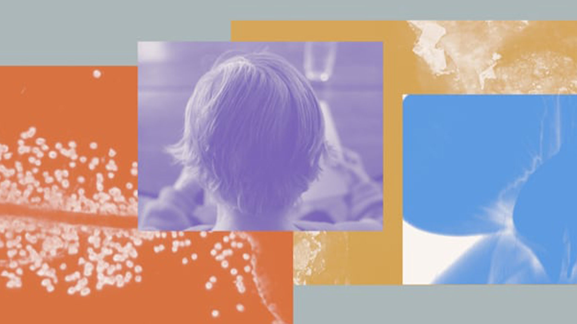 PERA Müzesi Basın Bültenleri