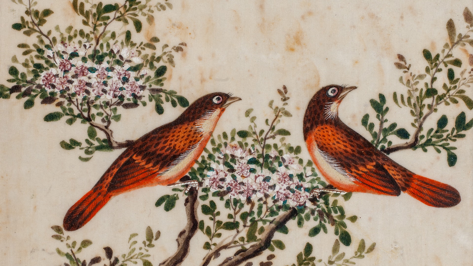 PERA Müzesi Basın Bültenleri