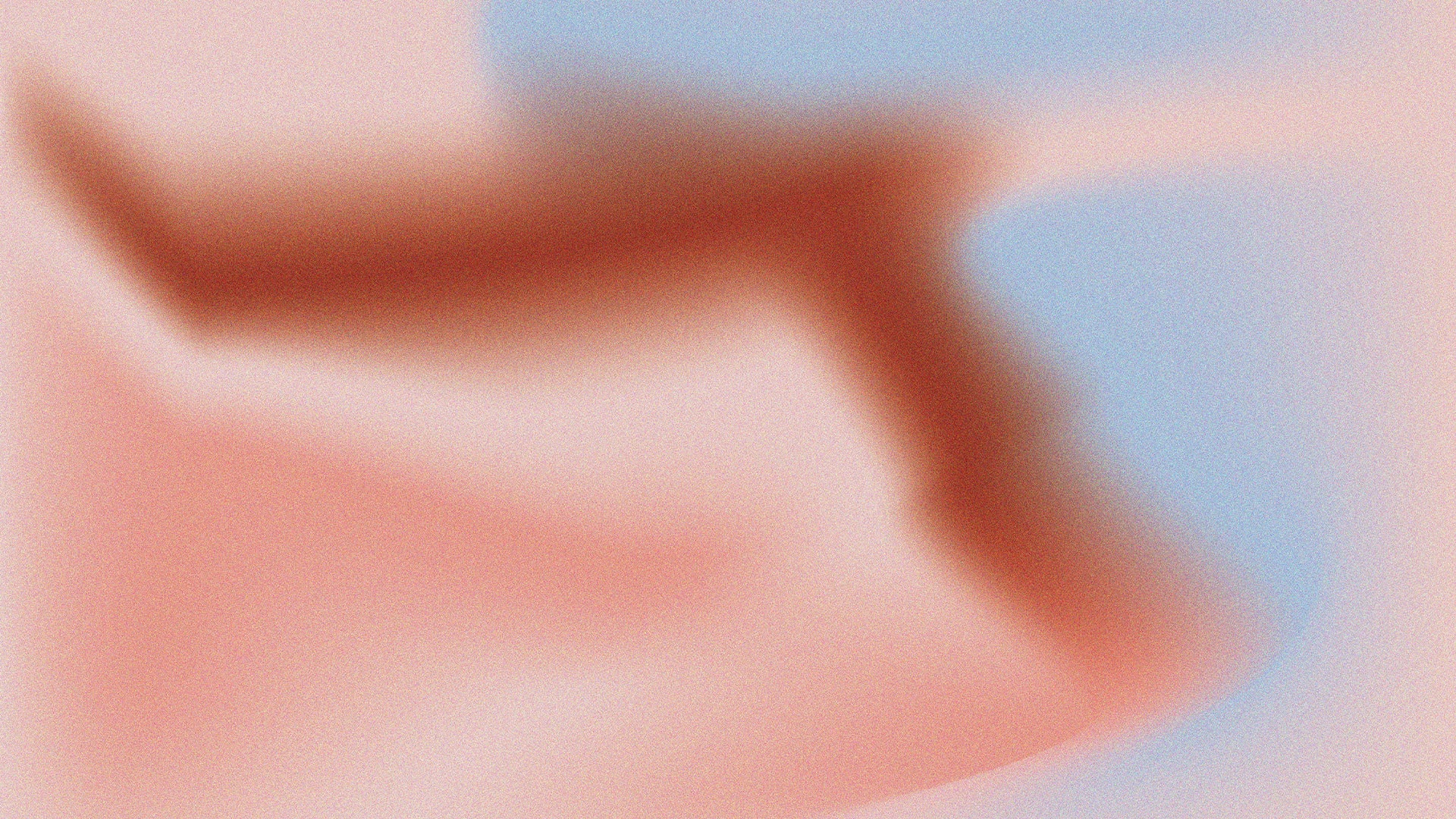 PERA Müzesi Basın Bültenleri