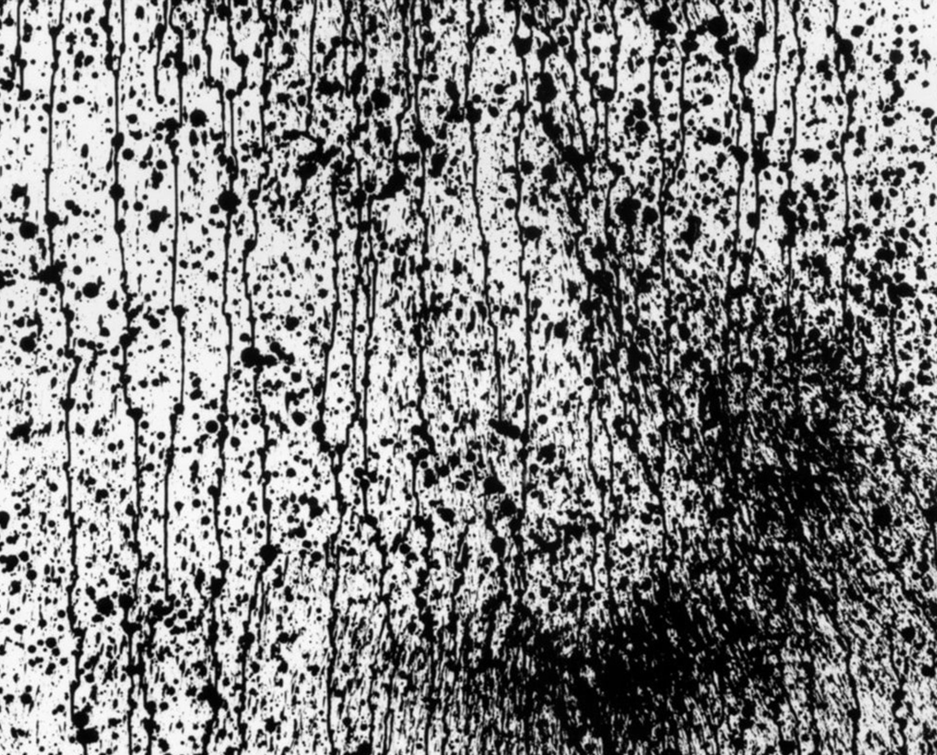 Gece Yarısı Korku Hikâyeleri:  Ev Sahibi <br>  Hakan Bıçakcı